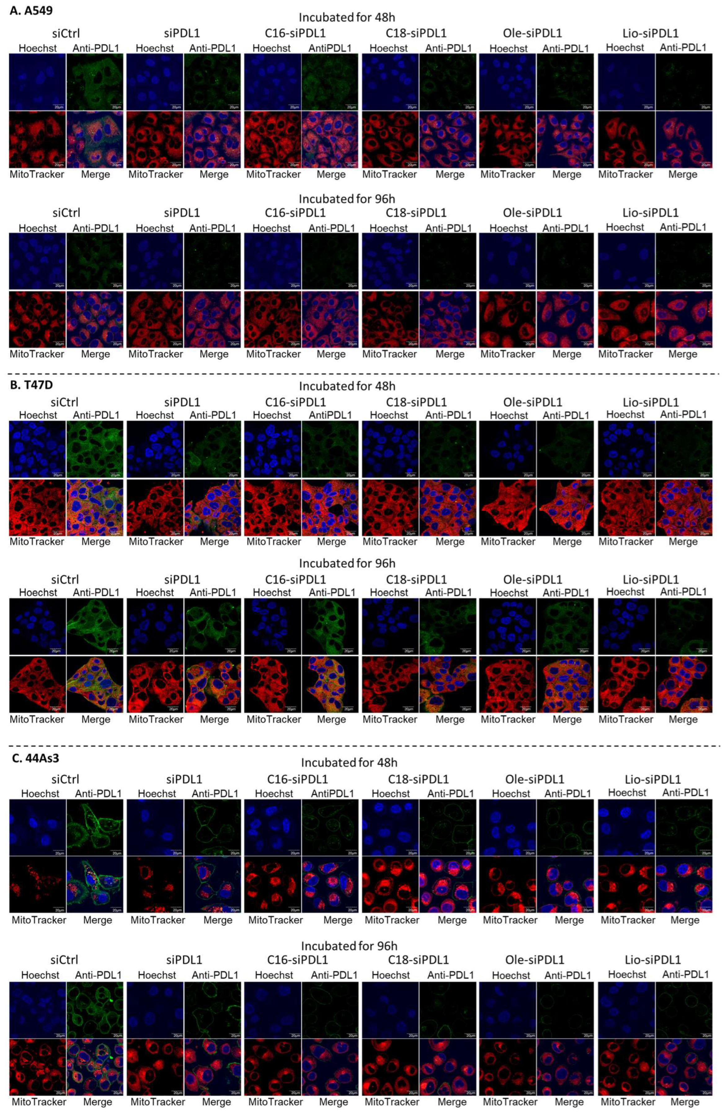 Biomolecules 15 00293 g006