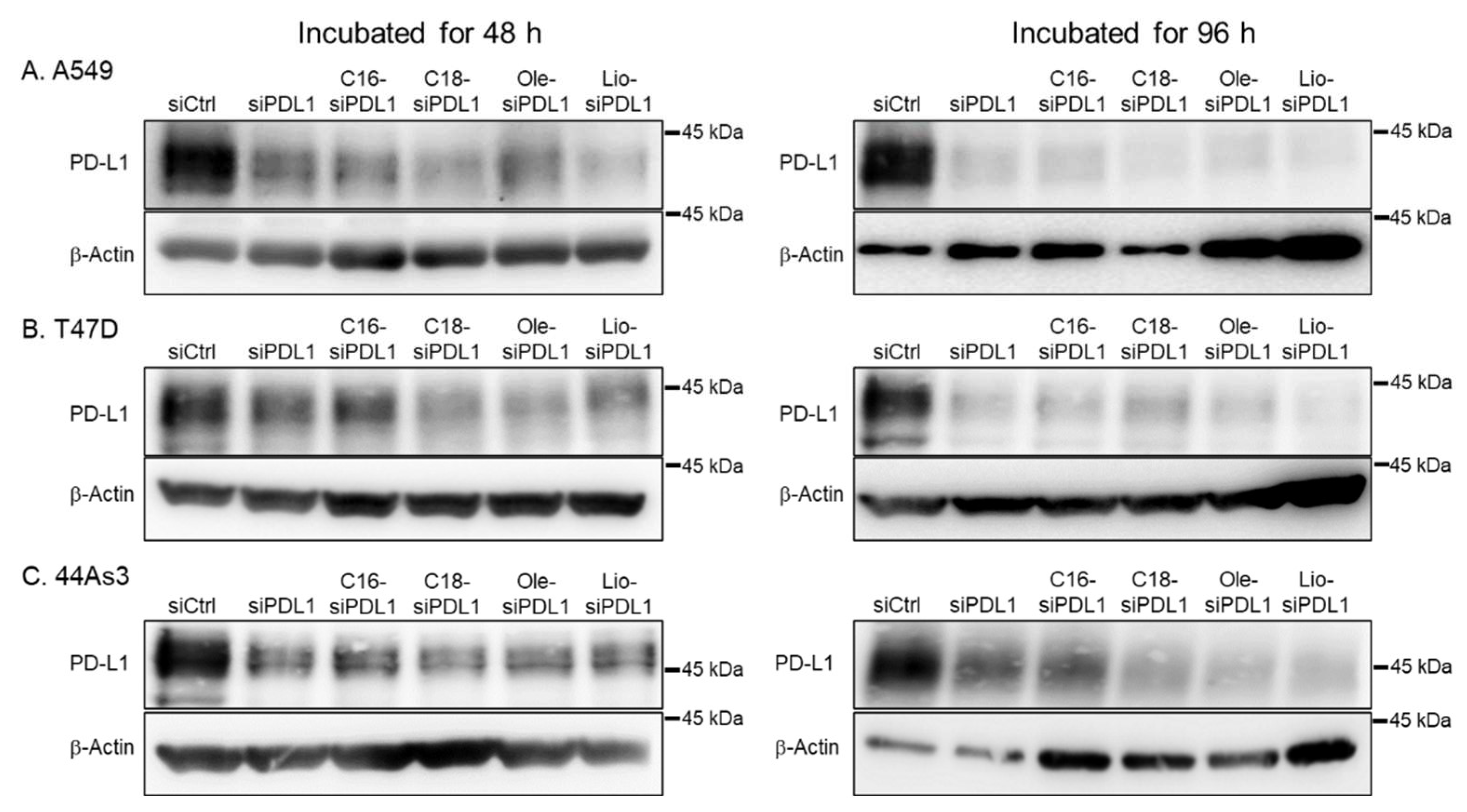 Biomolecules 15 00293 g007