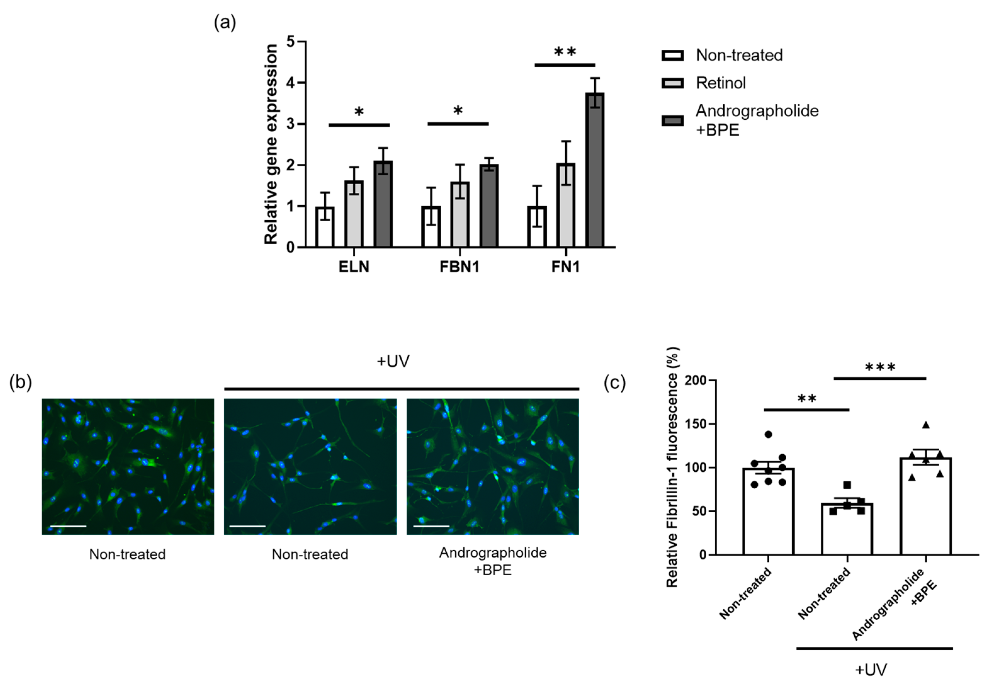 Biomolecules 15 00296 g003