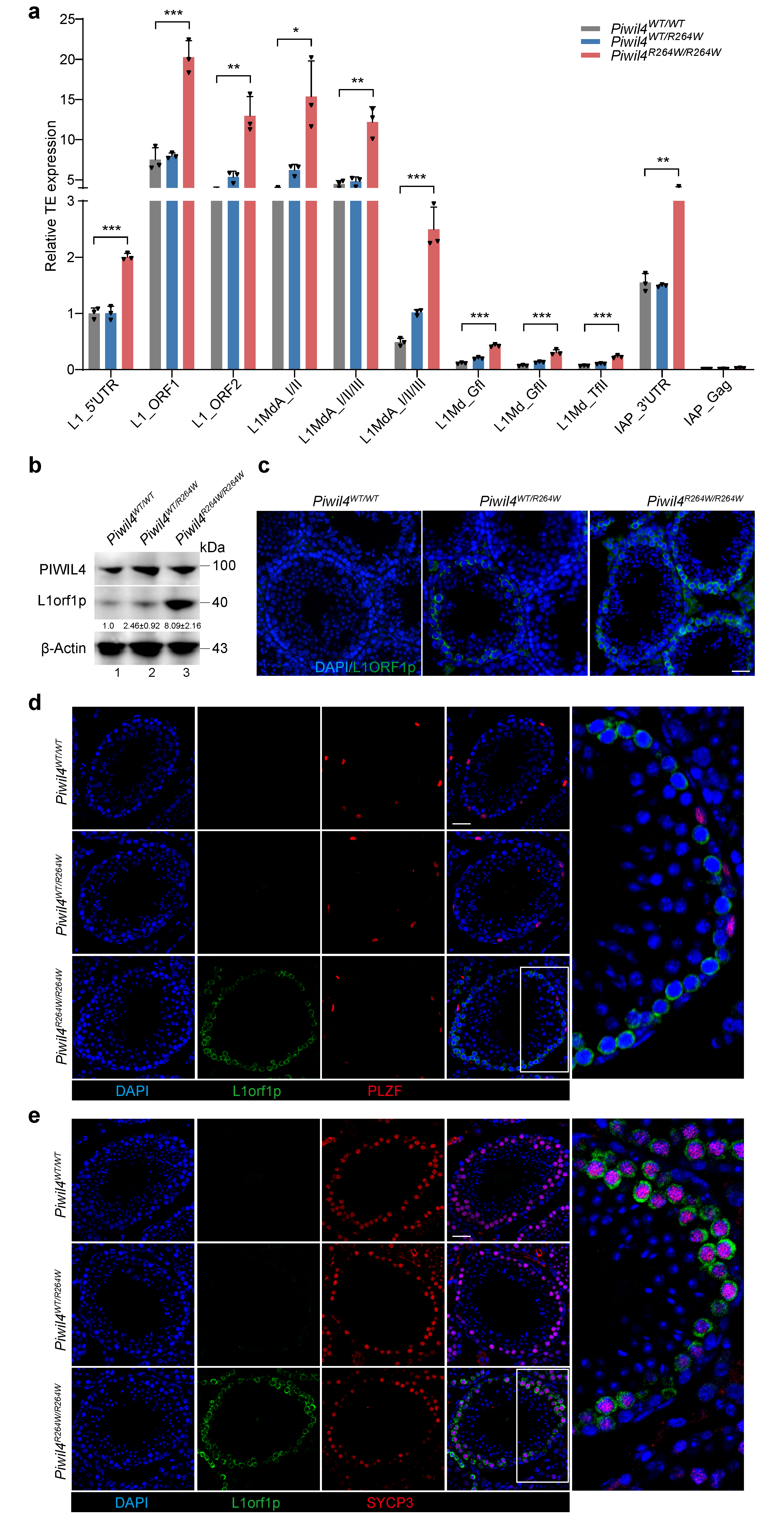 Biomolecules 15 00297 g002