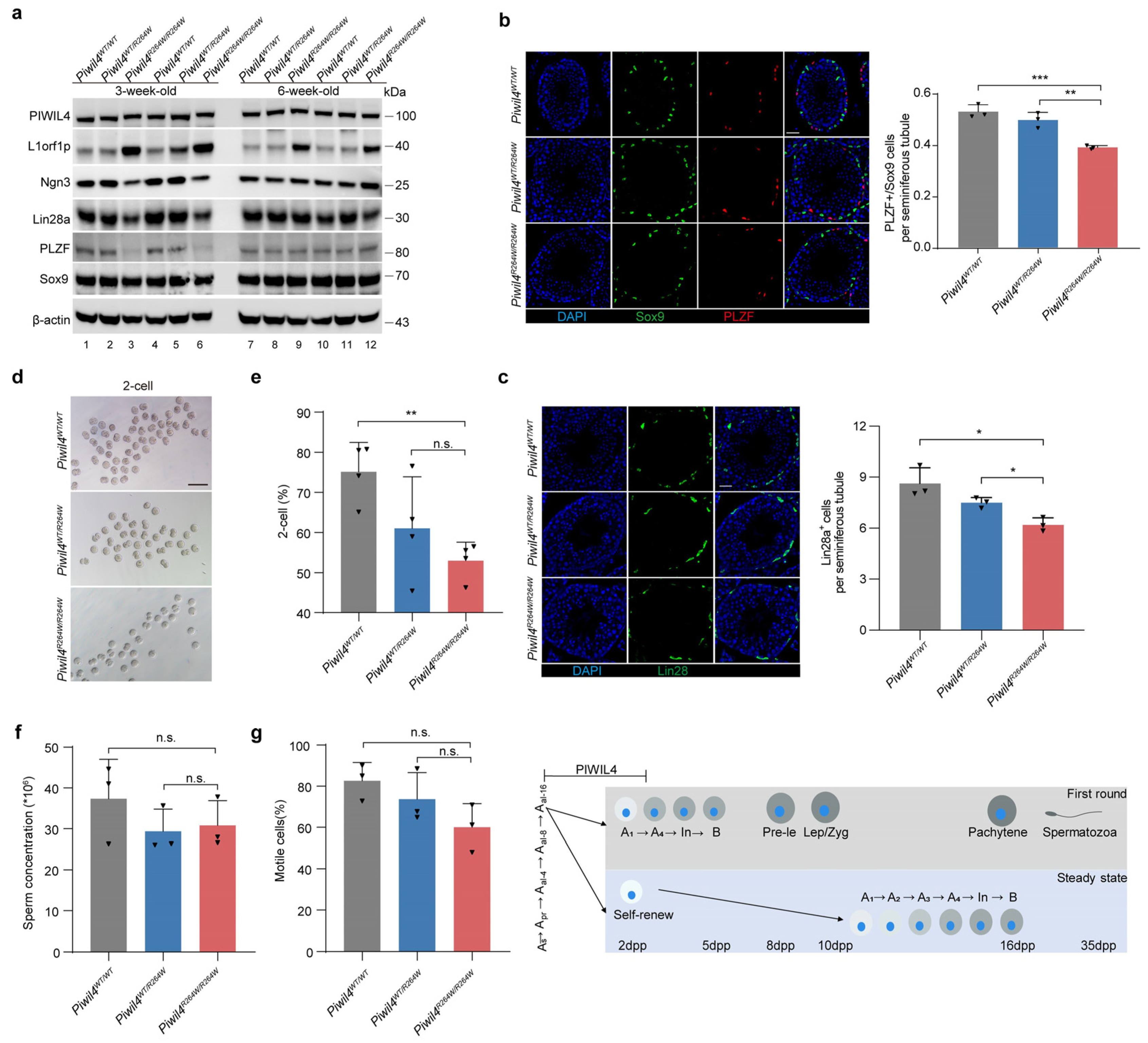 Biomolecules 15 00297 g003