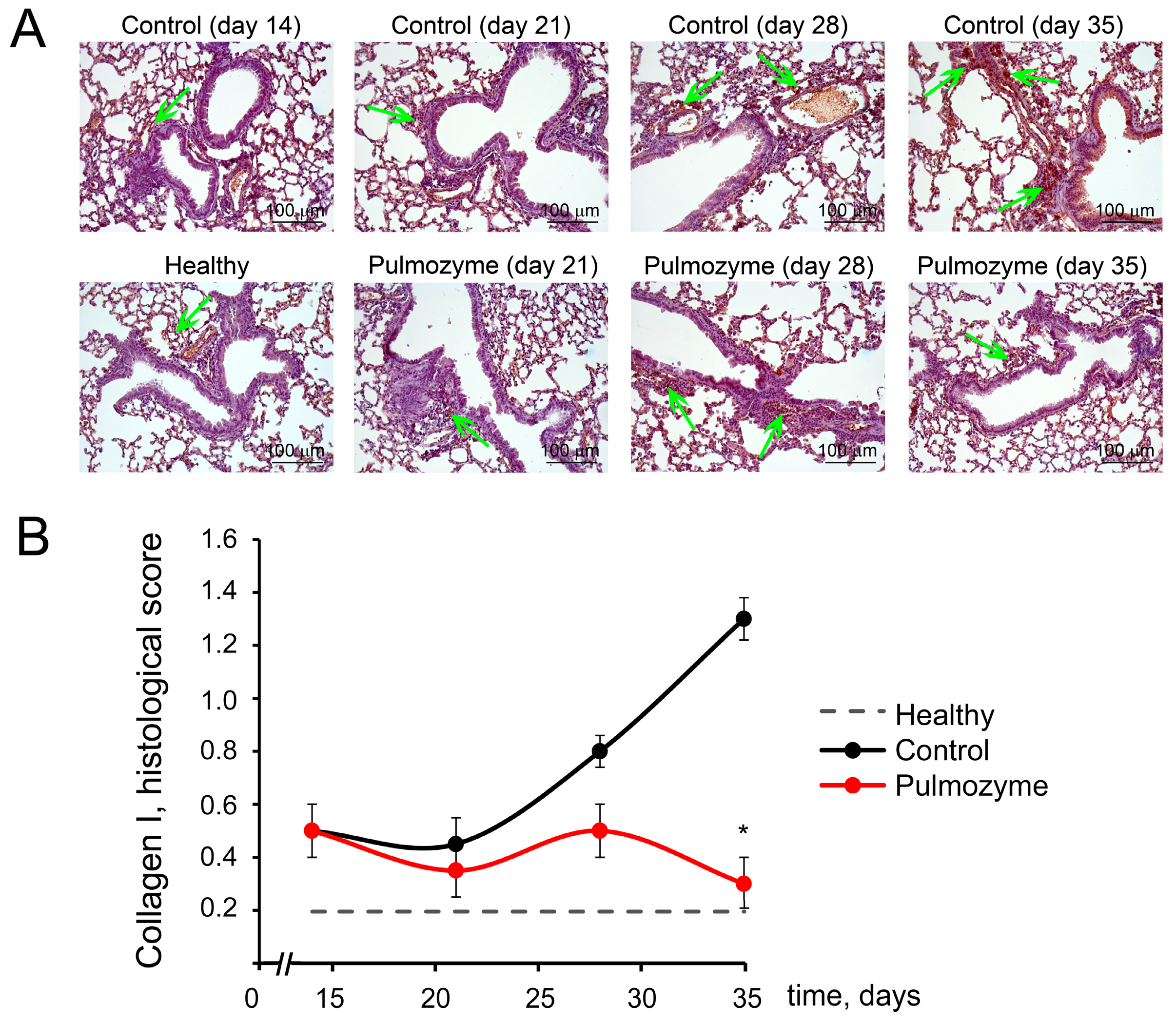 Biomolecules 15 00298 g003