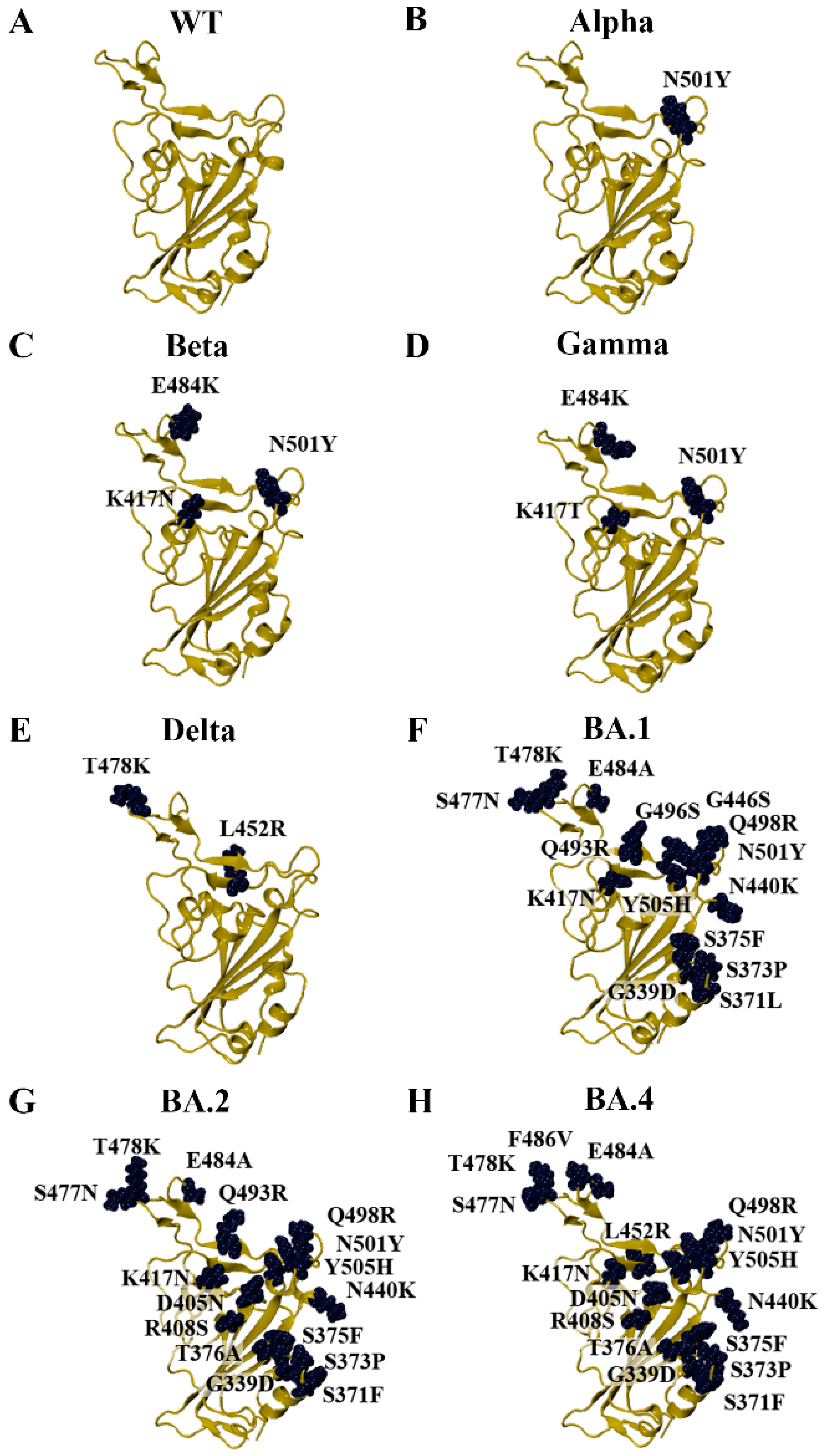 Biomolecules 15 00301 g001