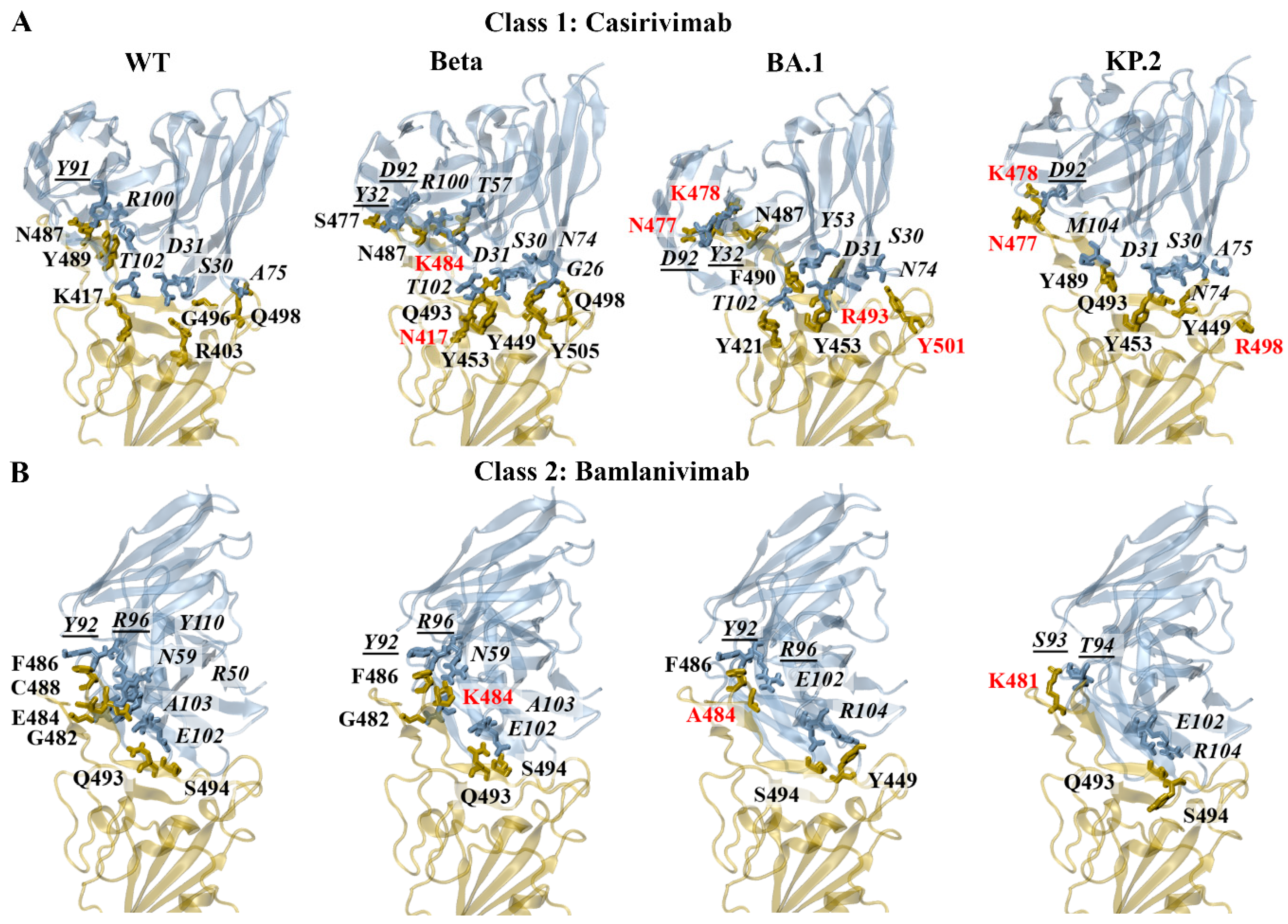 Biomolecules 15 00301 g006