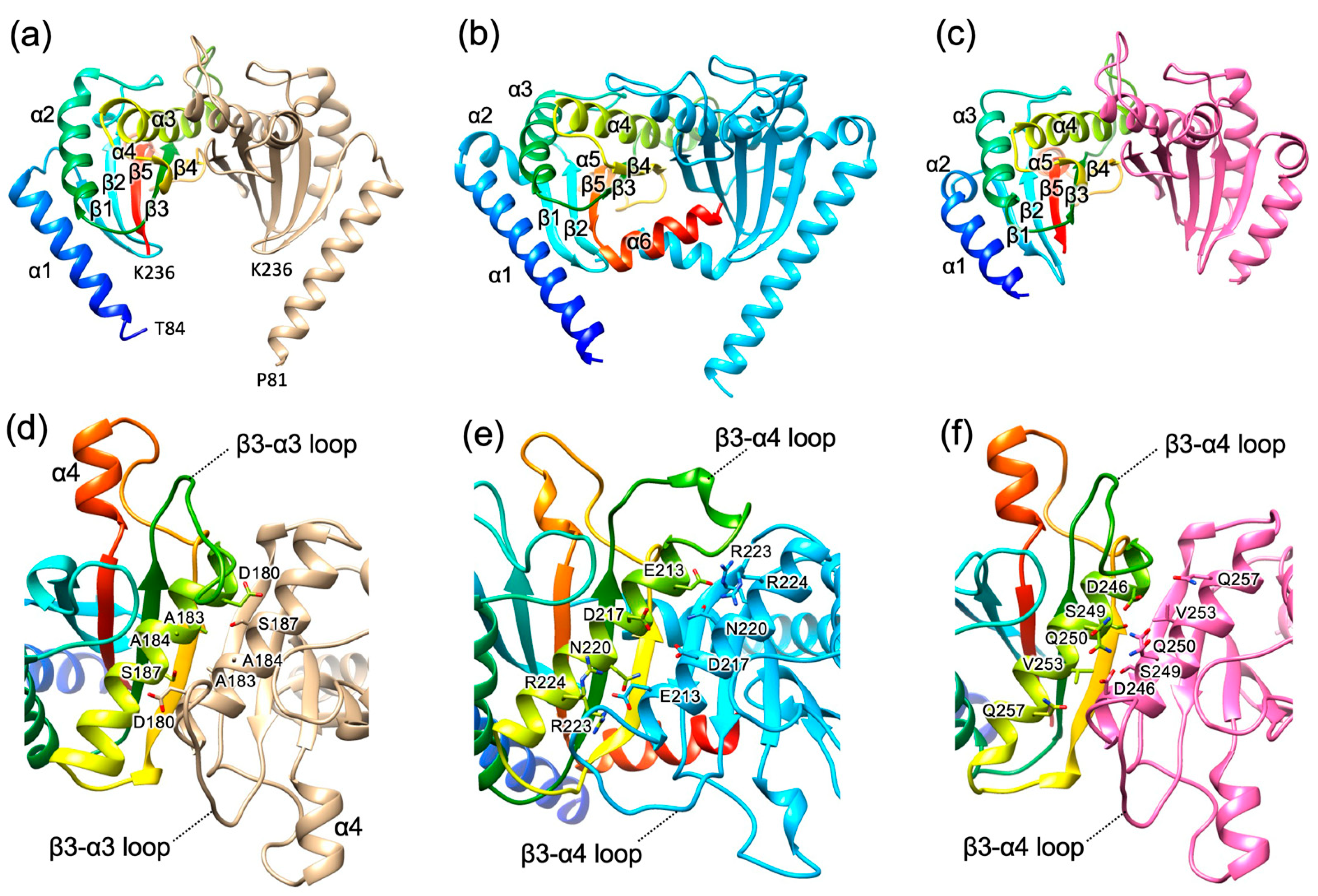 Biomolecules 15 00302 g002