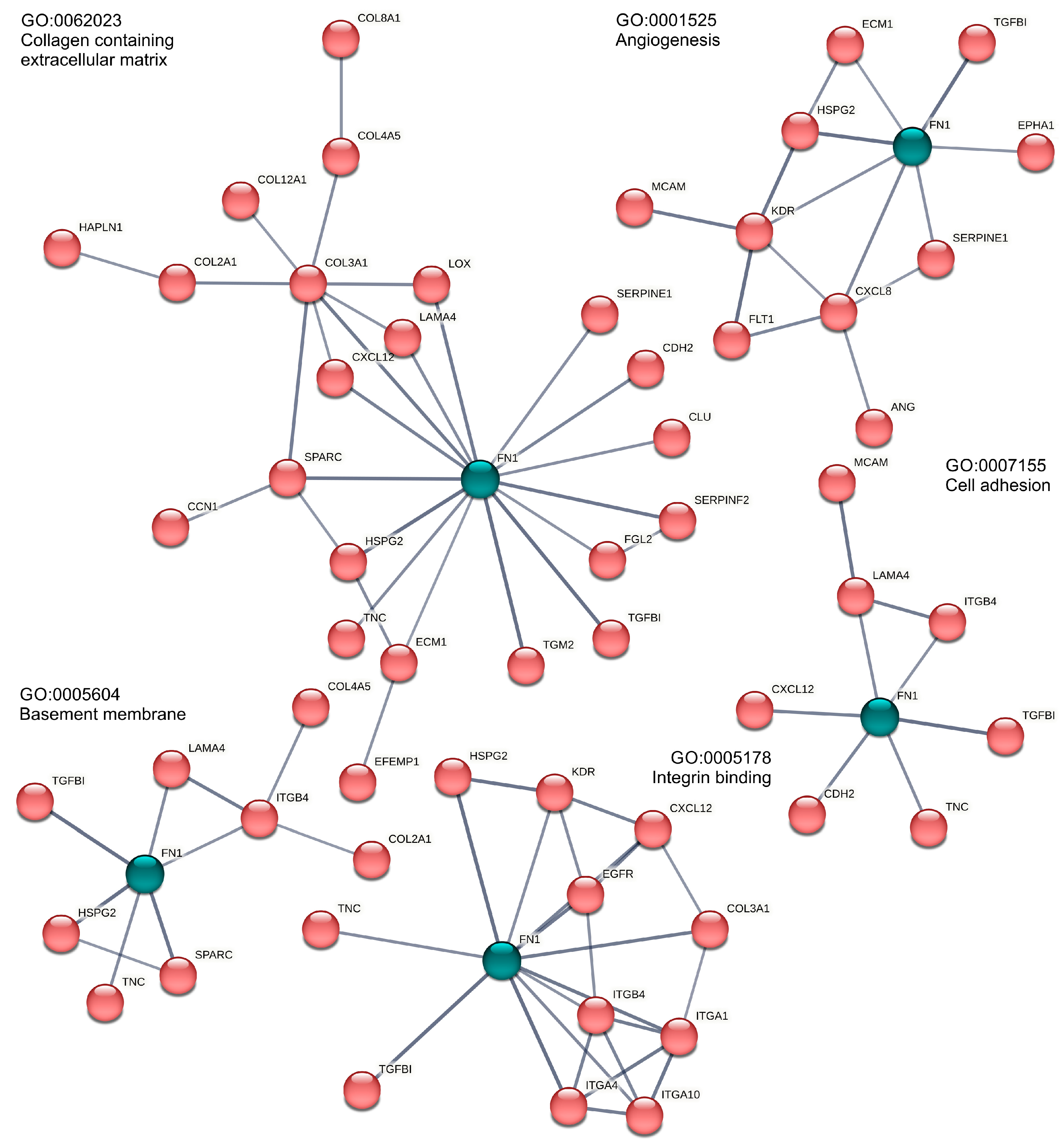 Biomolecules 15 00303 g003