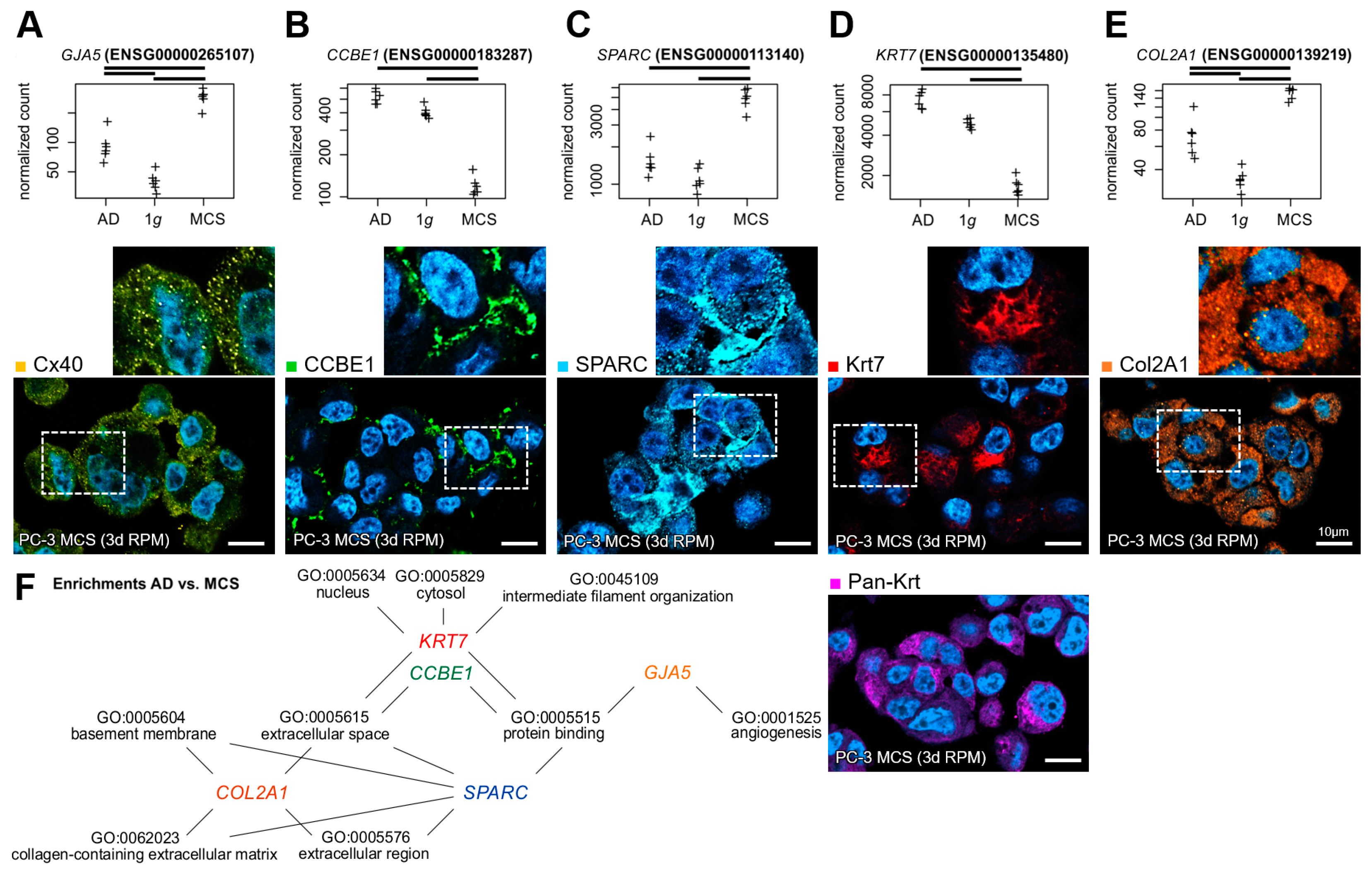 Biomolecules 15 00303 g007