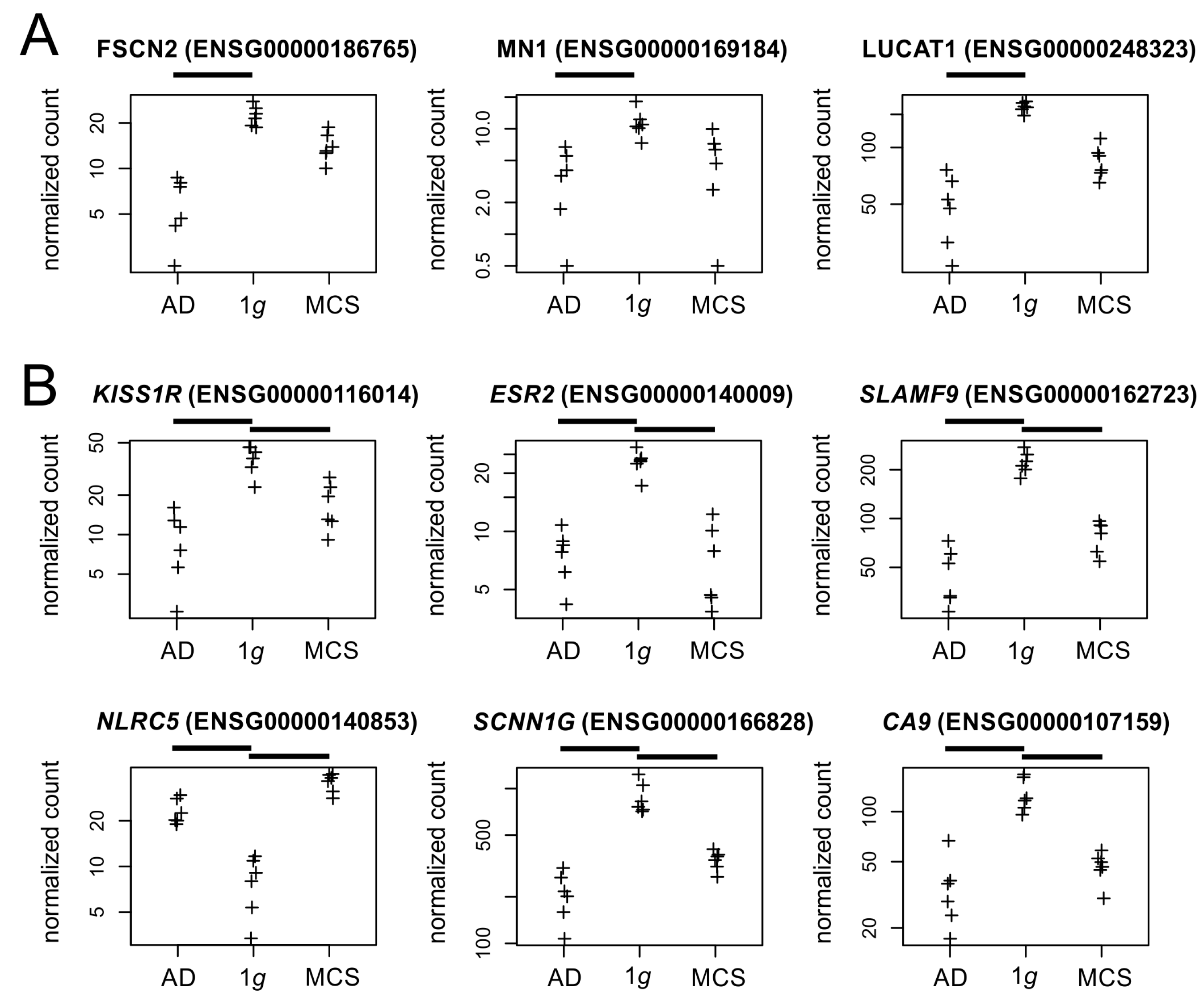 Biomolecules 15 00303 g010