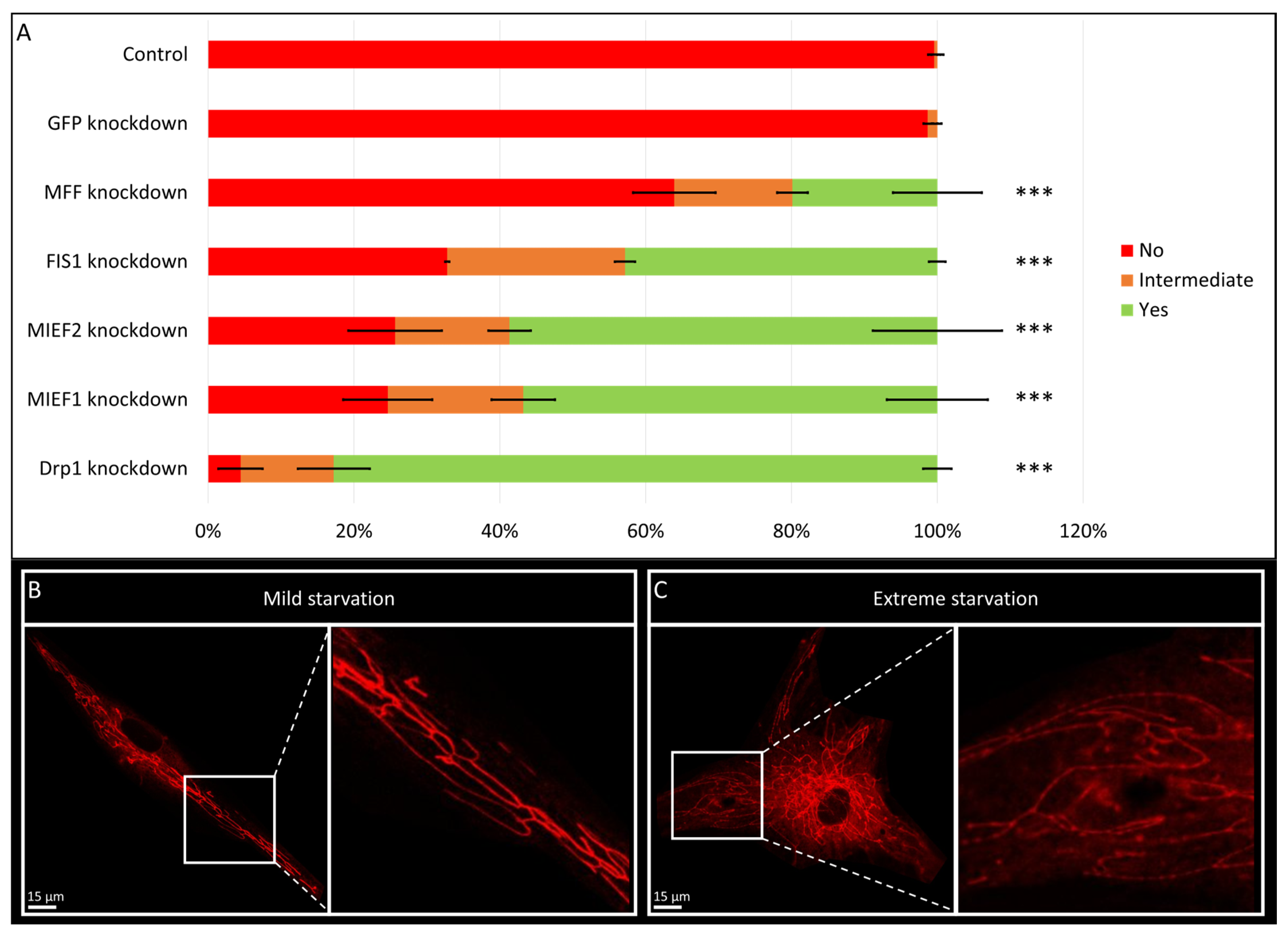 Biomolecules 15 00304 g002