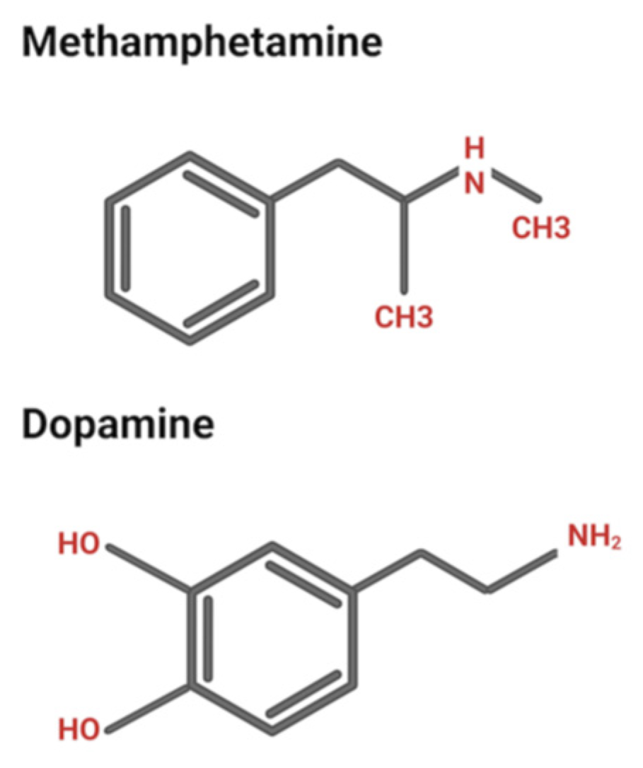 Biomolecules 15 00306 g001 Biomolecules 15 00306 g001