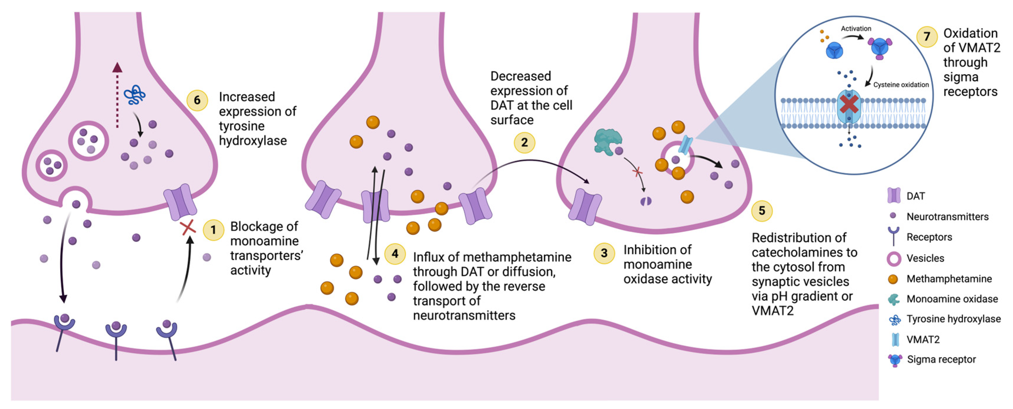 Biomolecules 15 00306 g002 Biomolecules 15 00306 g002