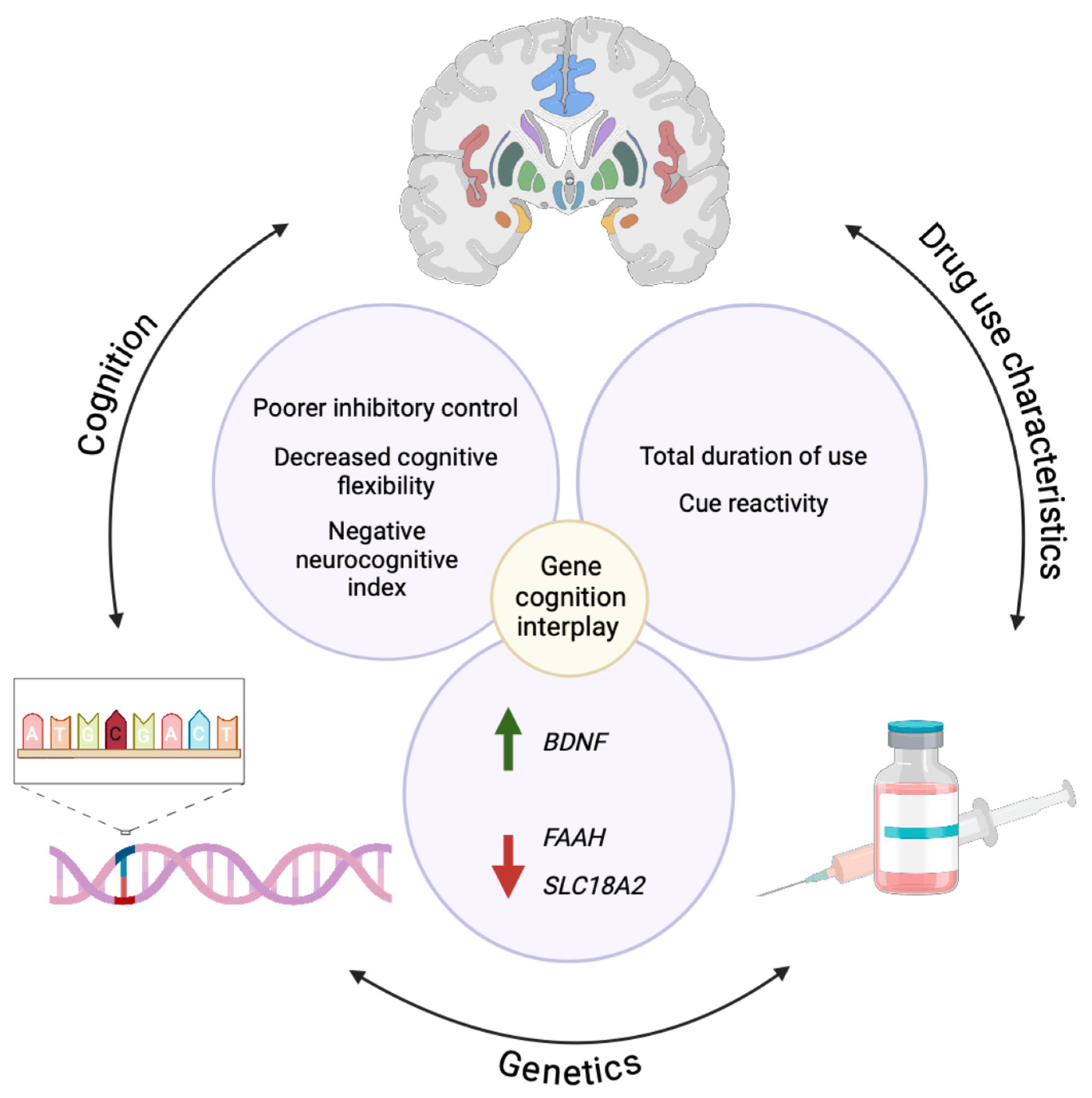 Biomolecules 15 00306 g003 Biomolecules 15 00306 g003