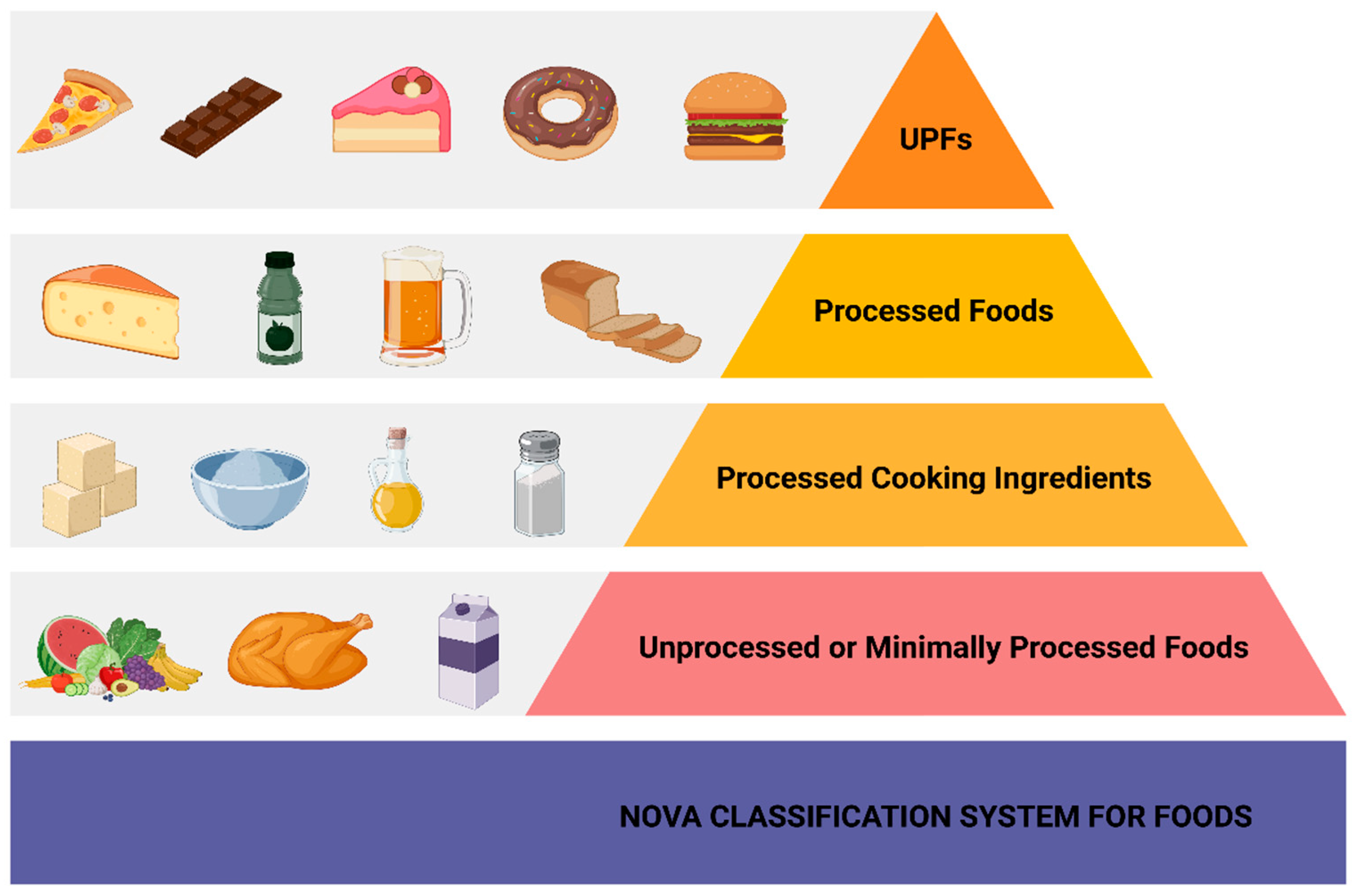 Biomolecules 15 00307 g001