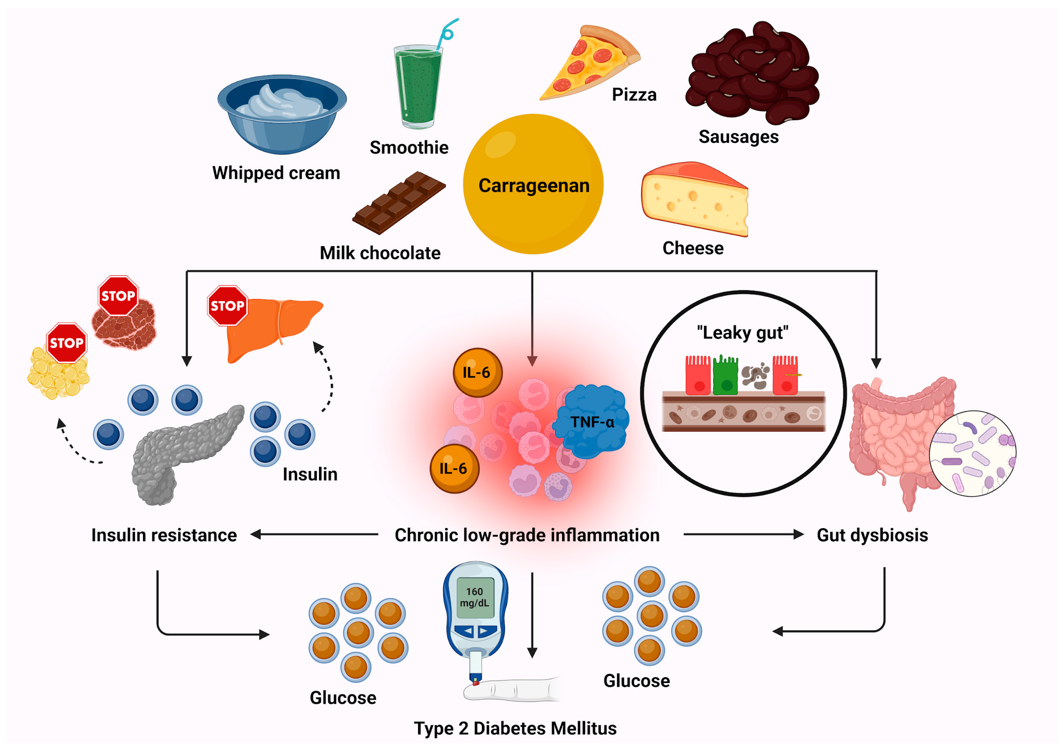 Biomolecules 15 00307 g002
