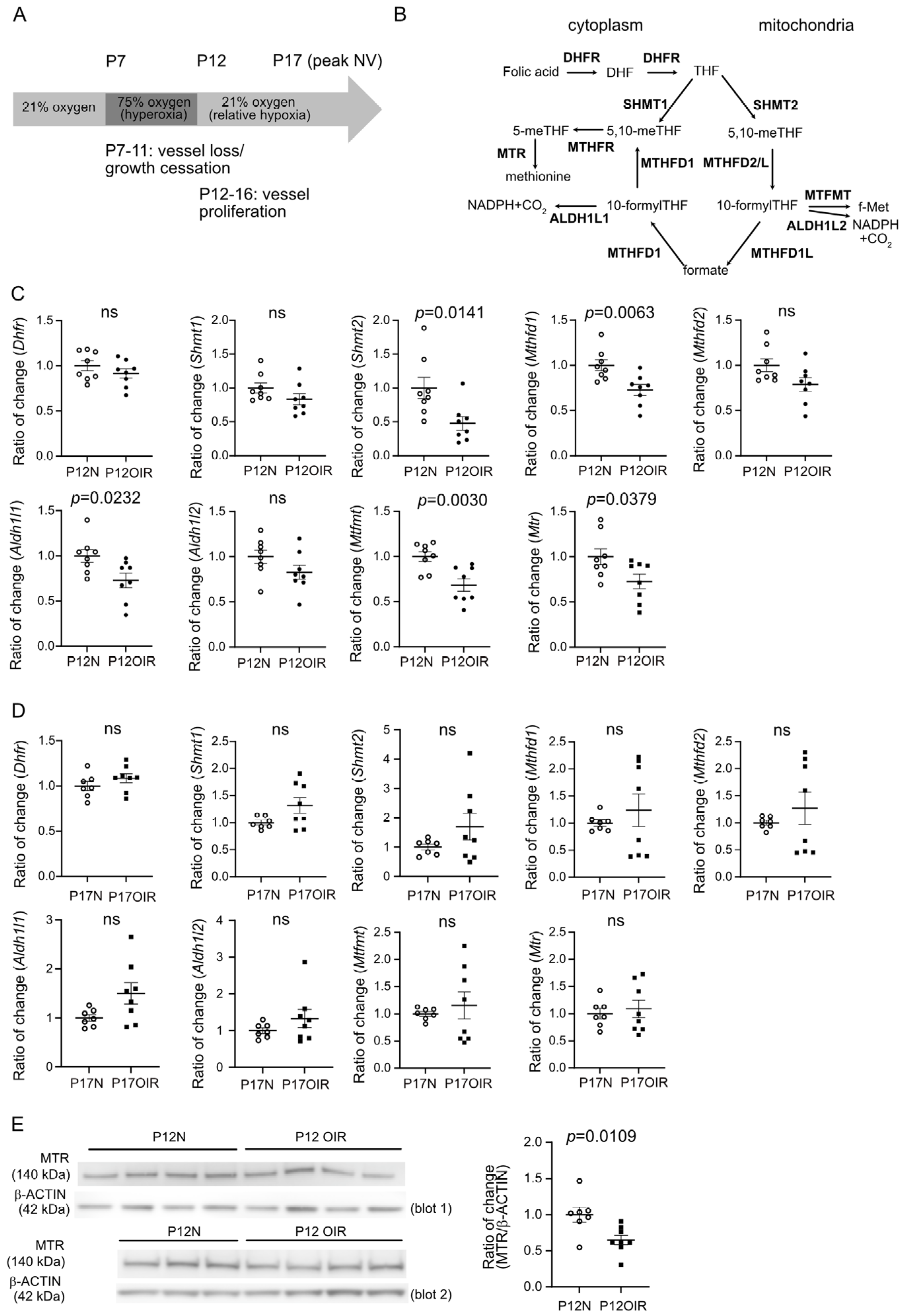 Biomolecules 15 00309 g001 Biomolecules 15 00309 g001