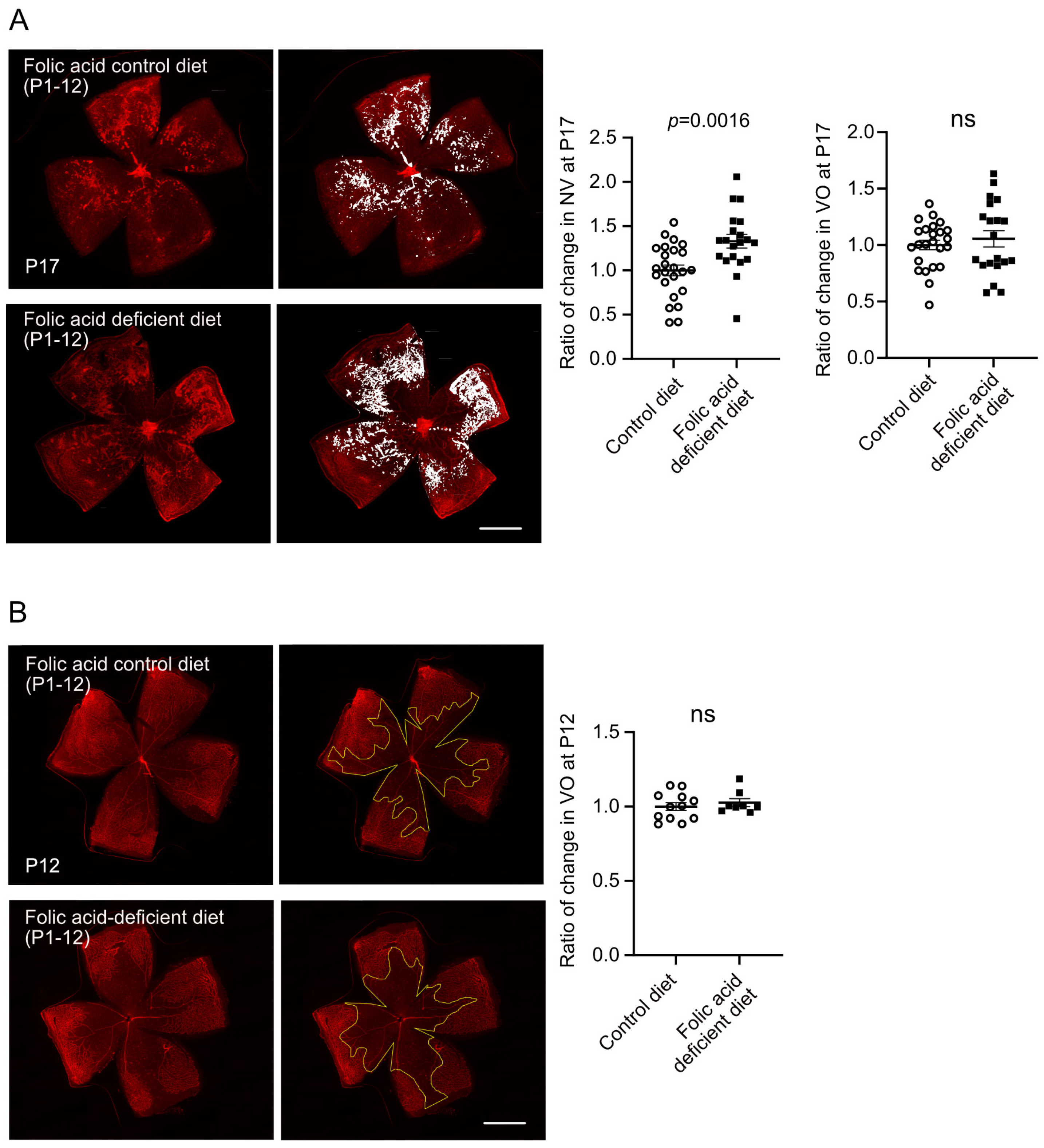 Biomolecules 15 00309 g002 Biomolecules 15 00309 g002