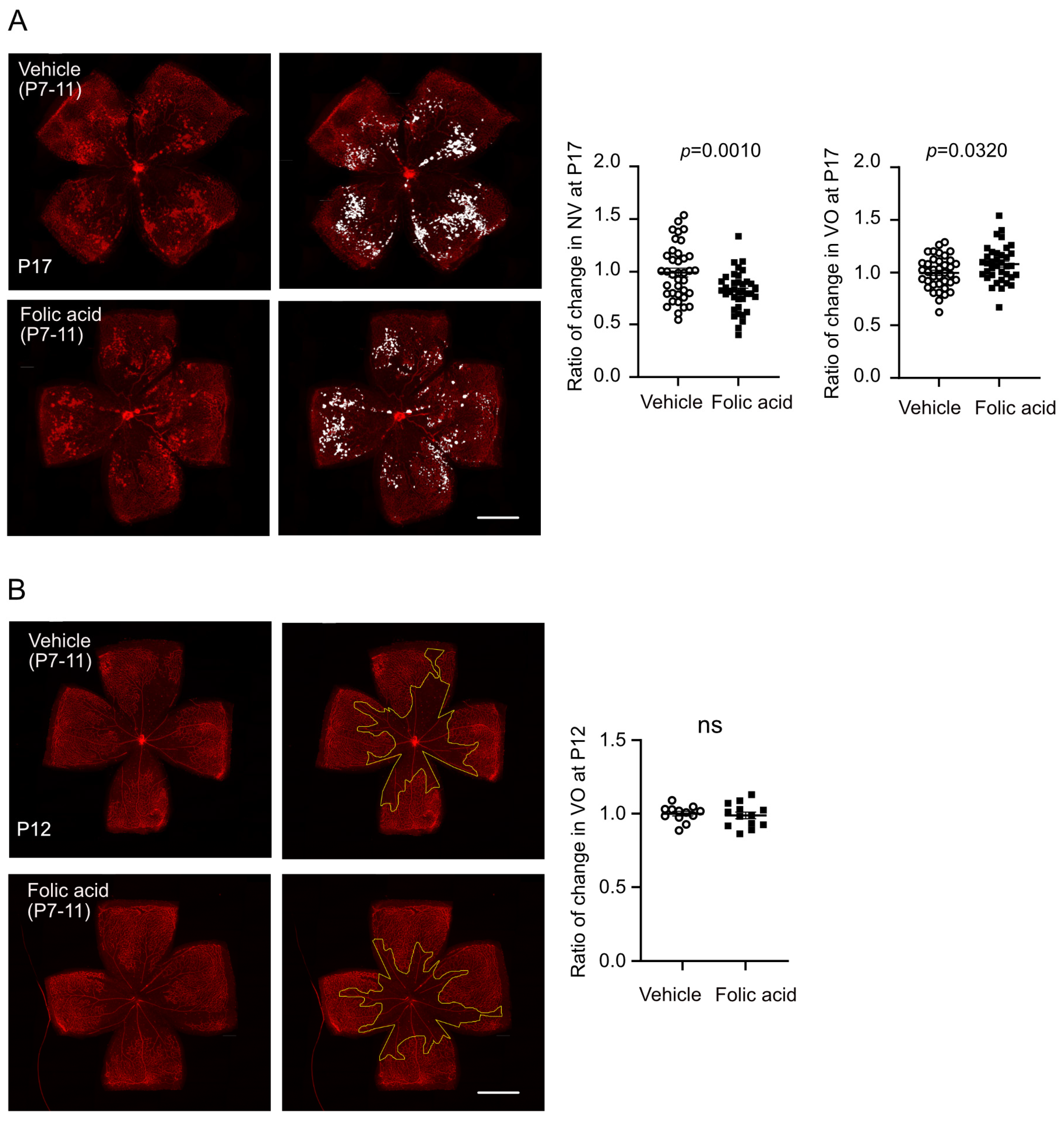 Biomolecules 15 00309 g003 Biomolecules 15 00309 g003
