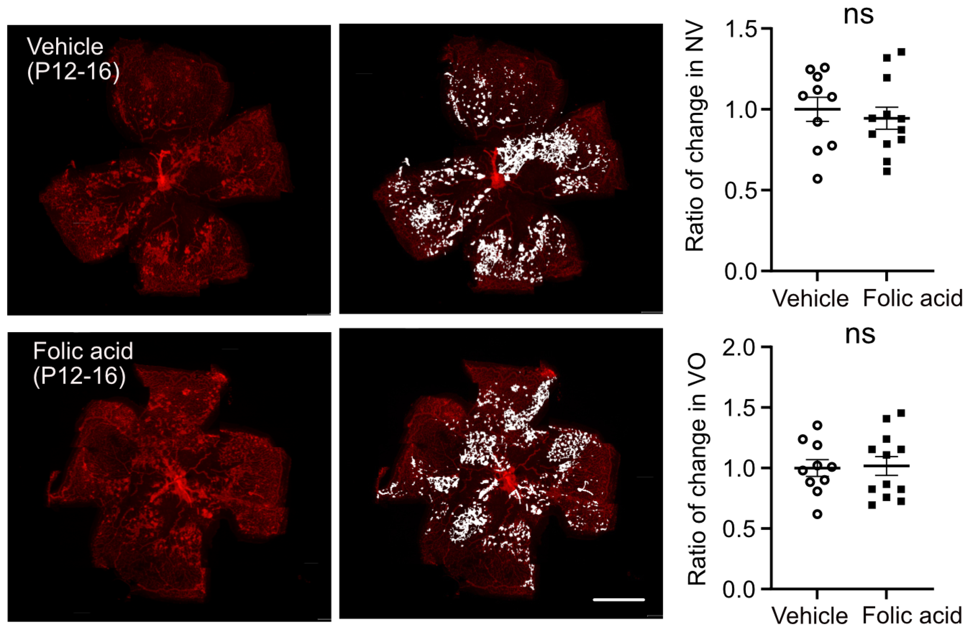 Biomolecules 15 00309 g004 Biomolecules 15 00309 g004