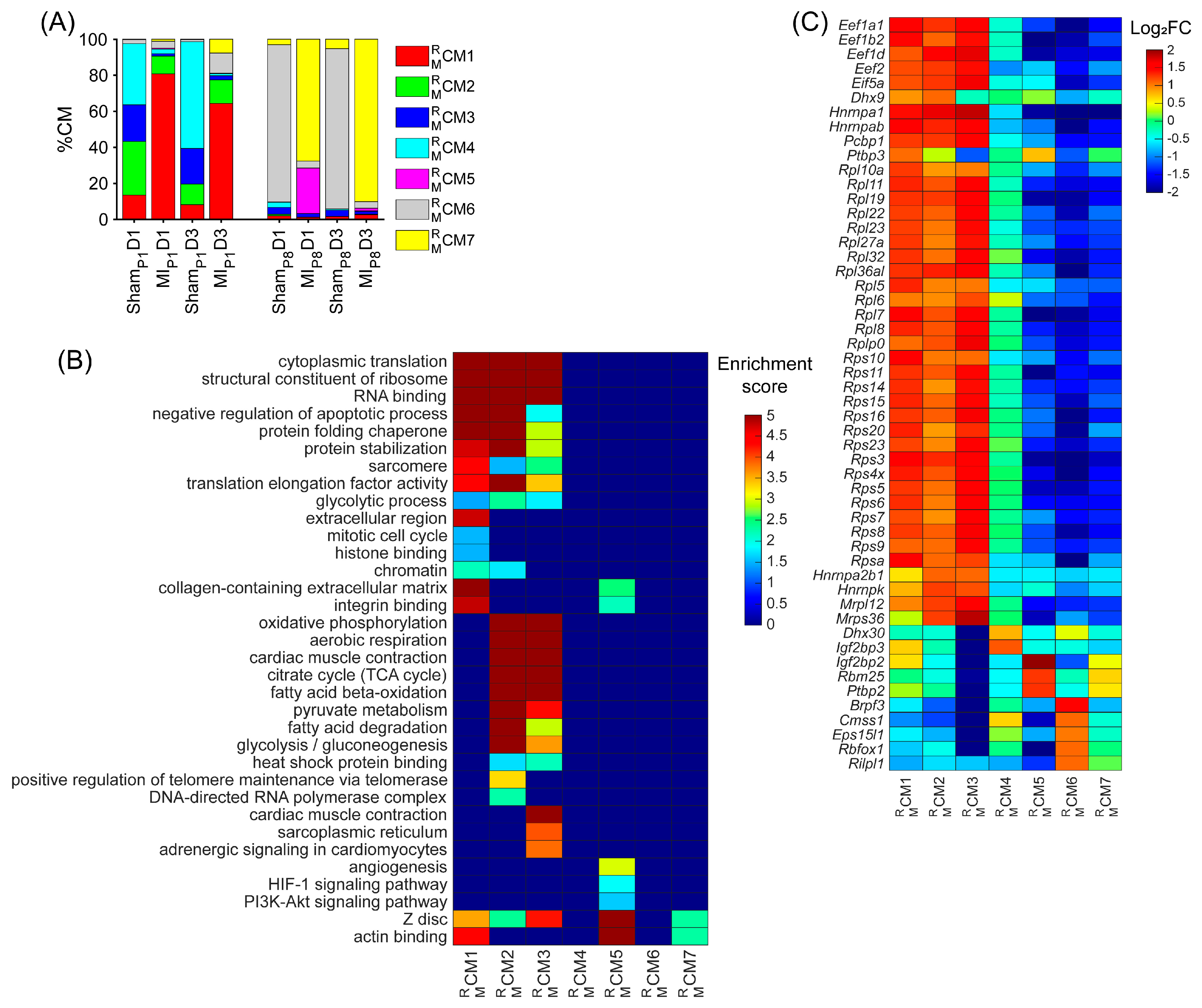 Biomolecules 15 00310 g002