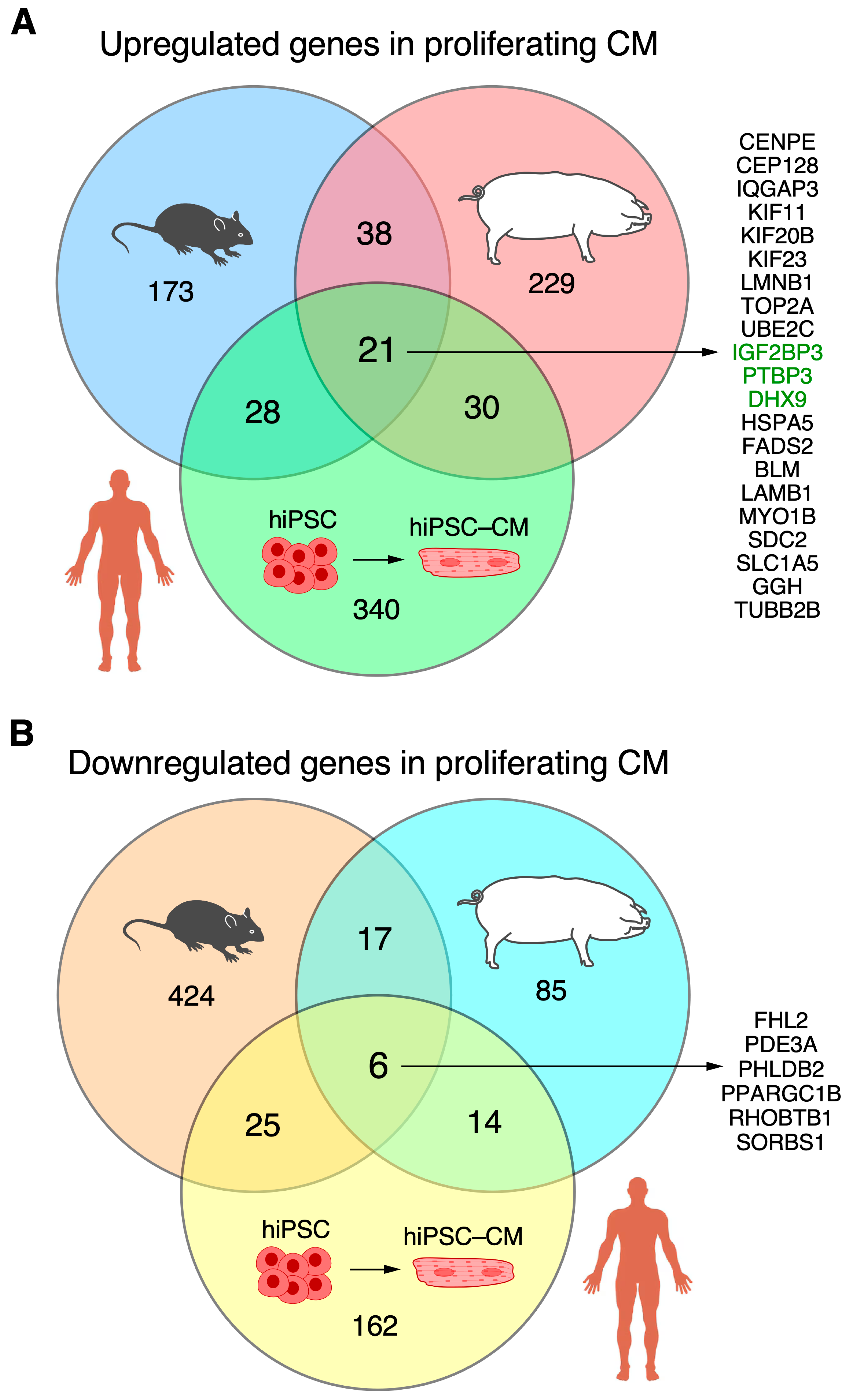 Biomolecules 15 00310 g006