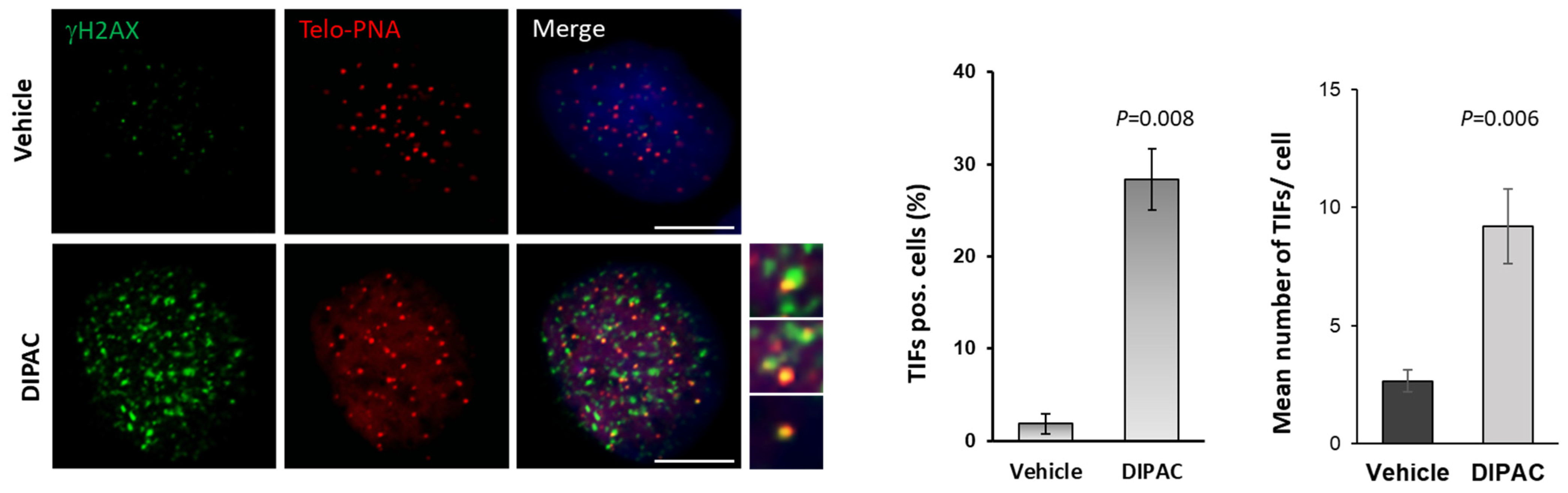 Biomolecules 15 00311 g008