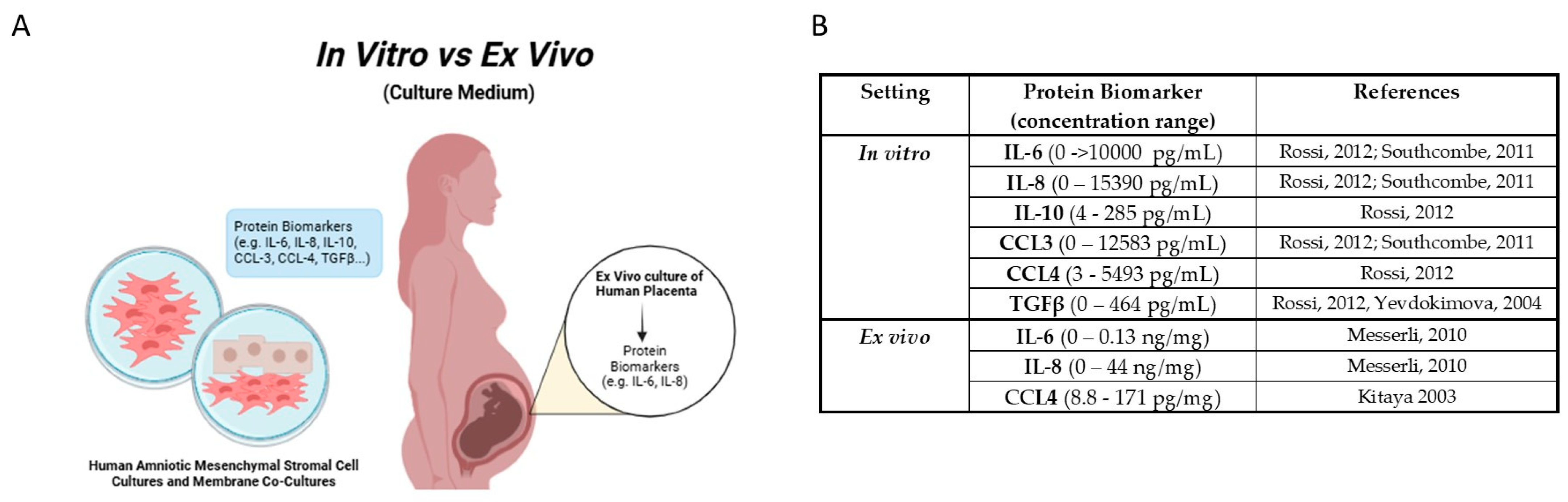 Biomolecules 15 00312 g001