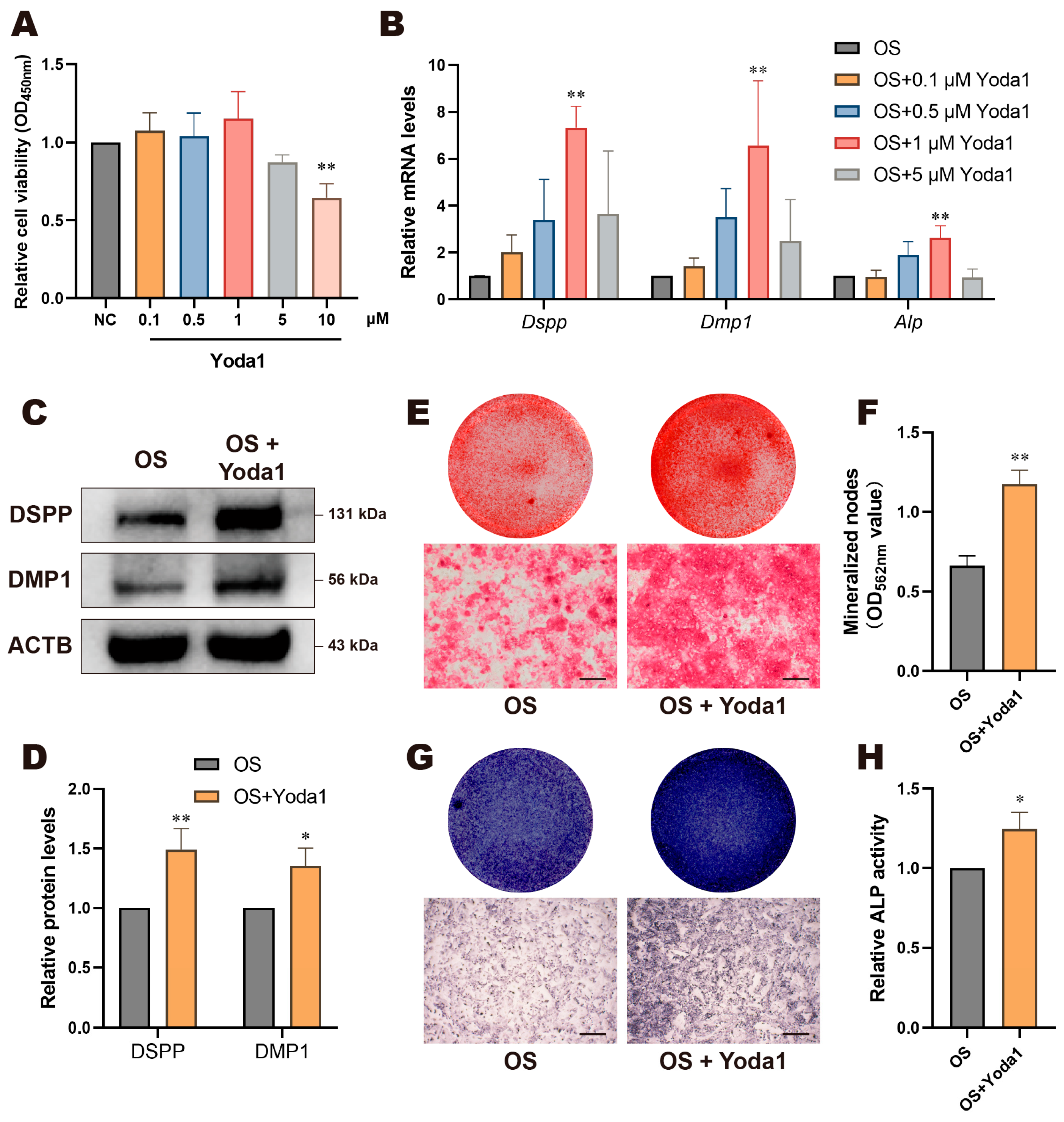 Biomolecules 15 00316 g004 Biomolecules 15 00316 g004