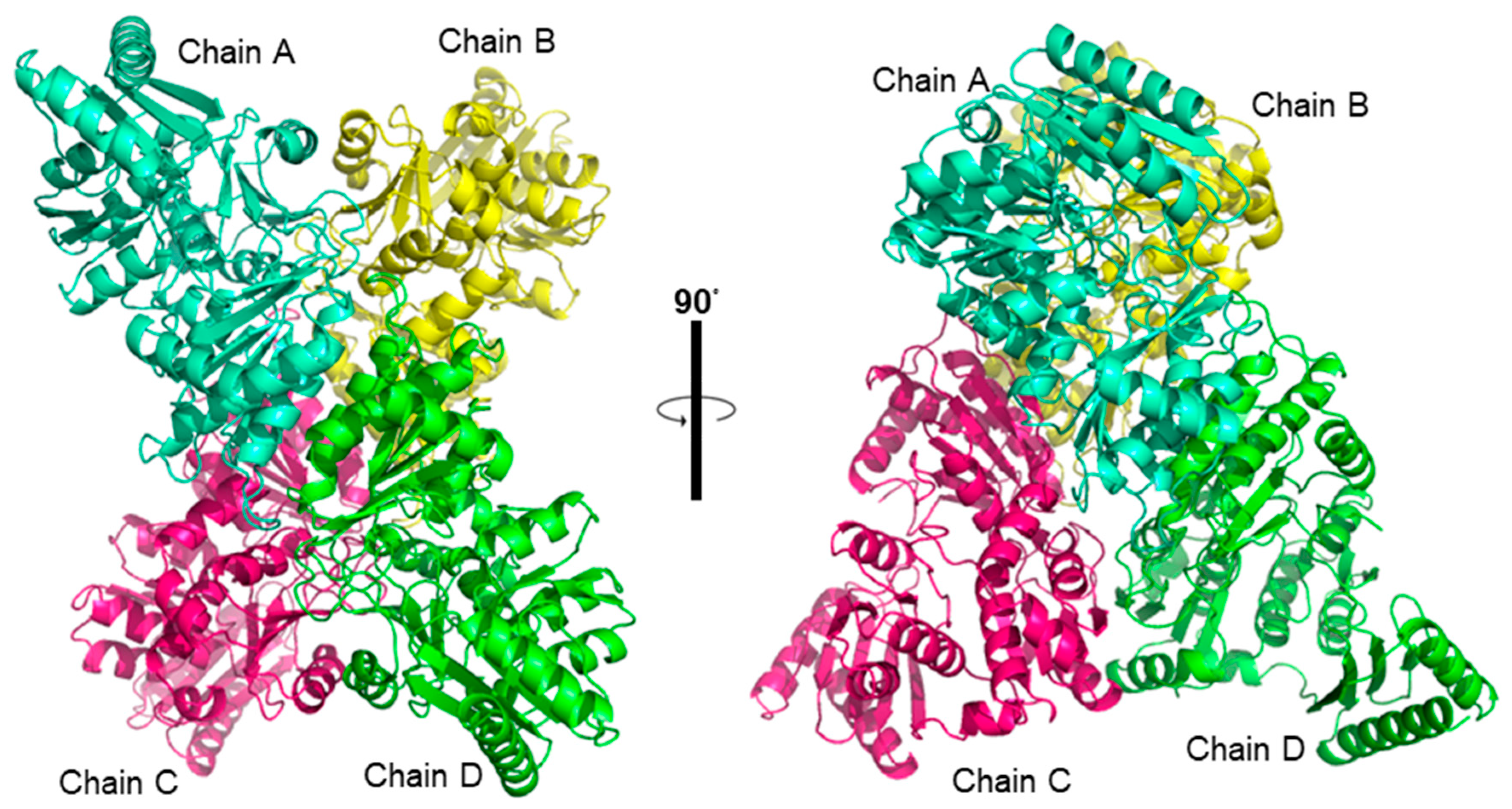 Biomolecules 15 00319 g005