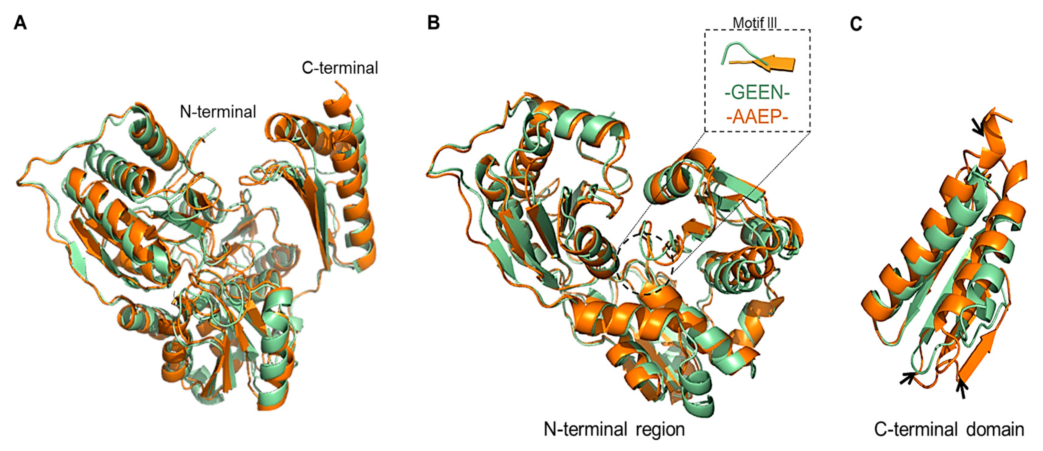 Biomolecules 15 00319 g007