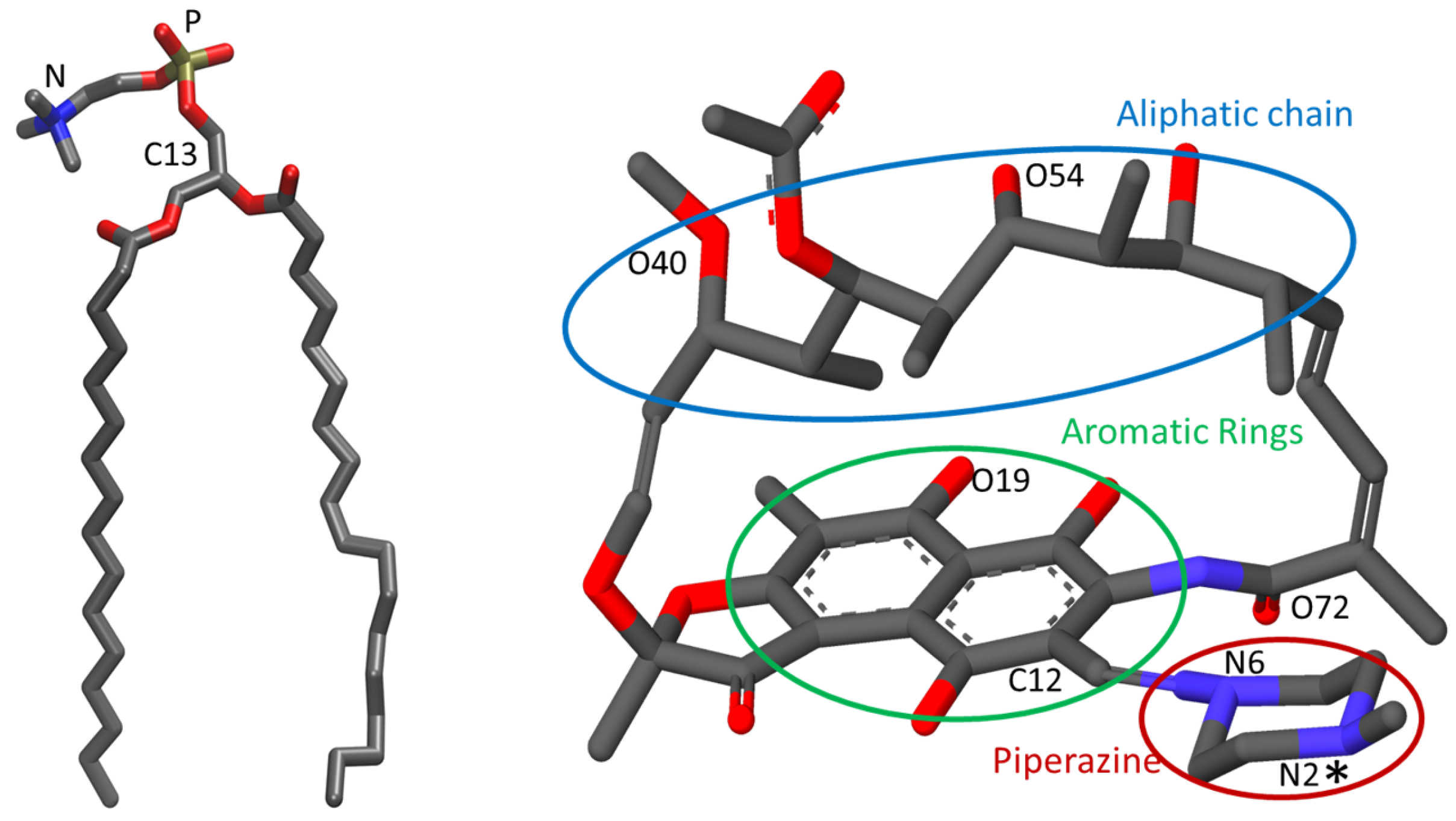 Biomolecules 15 00320 g001