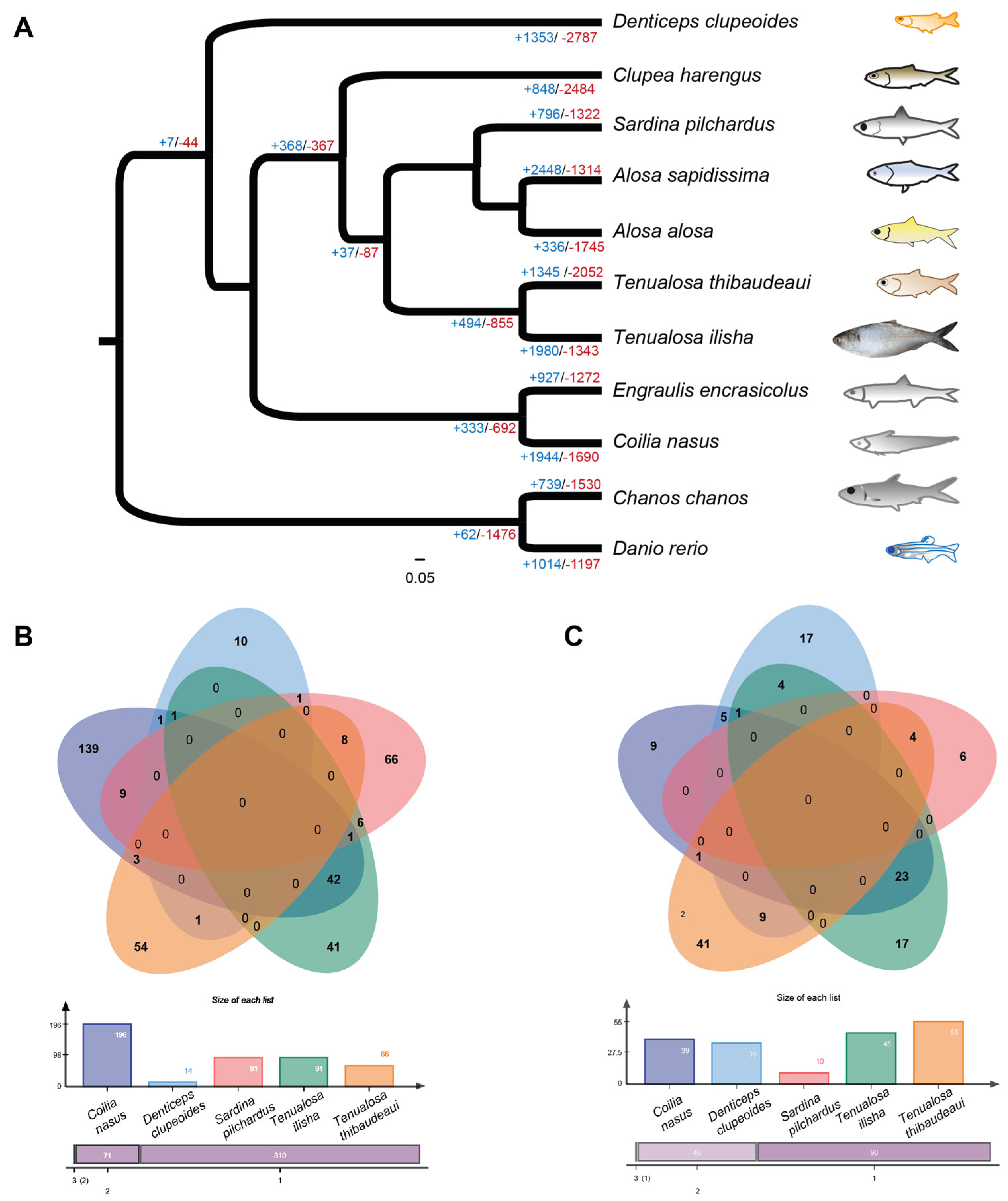 Biomolecules 15 00321 g003