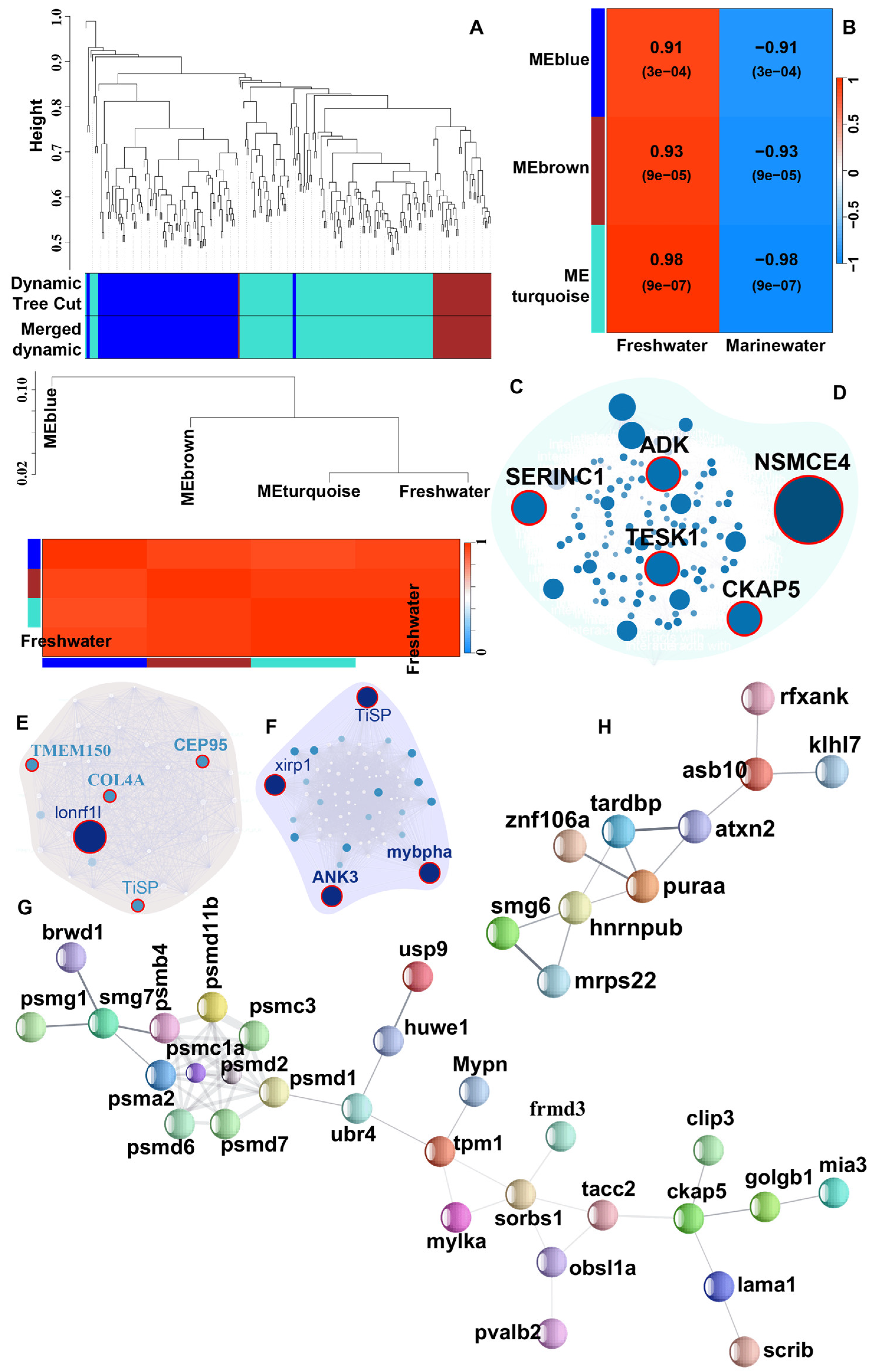 Biomolecules 15 00321 g005