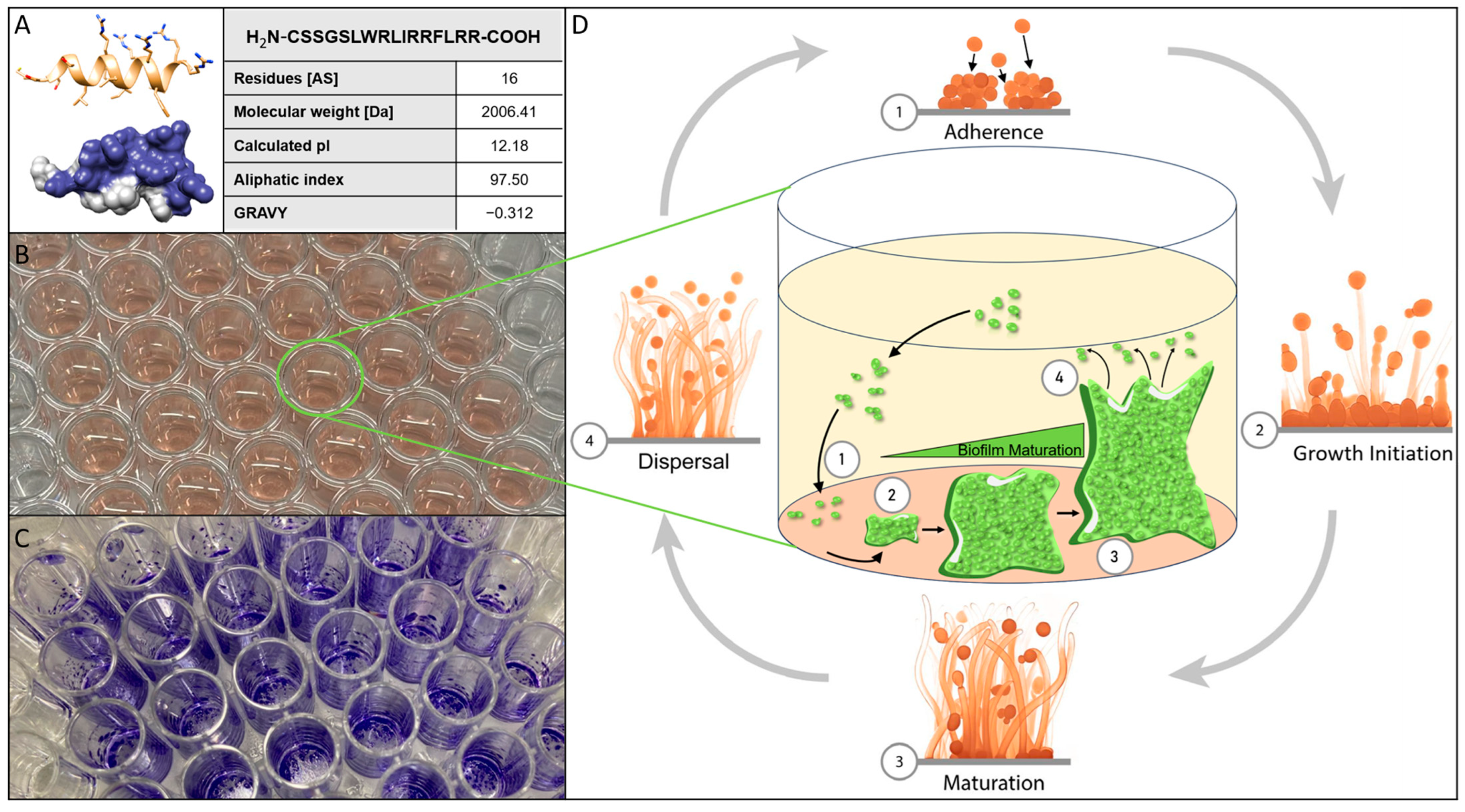 Biomolecules 15 00322 g001 Biomolecules 15 00322 g001