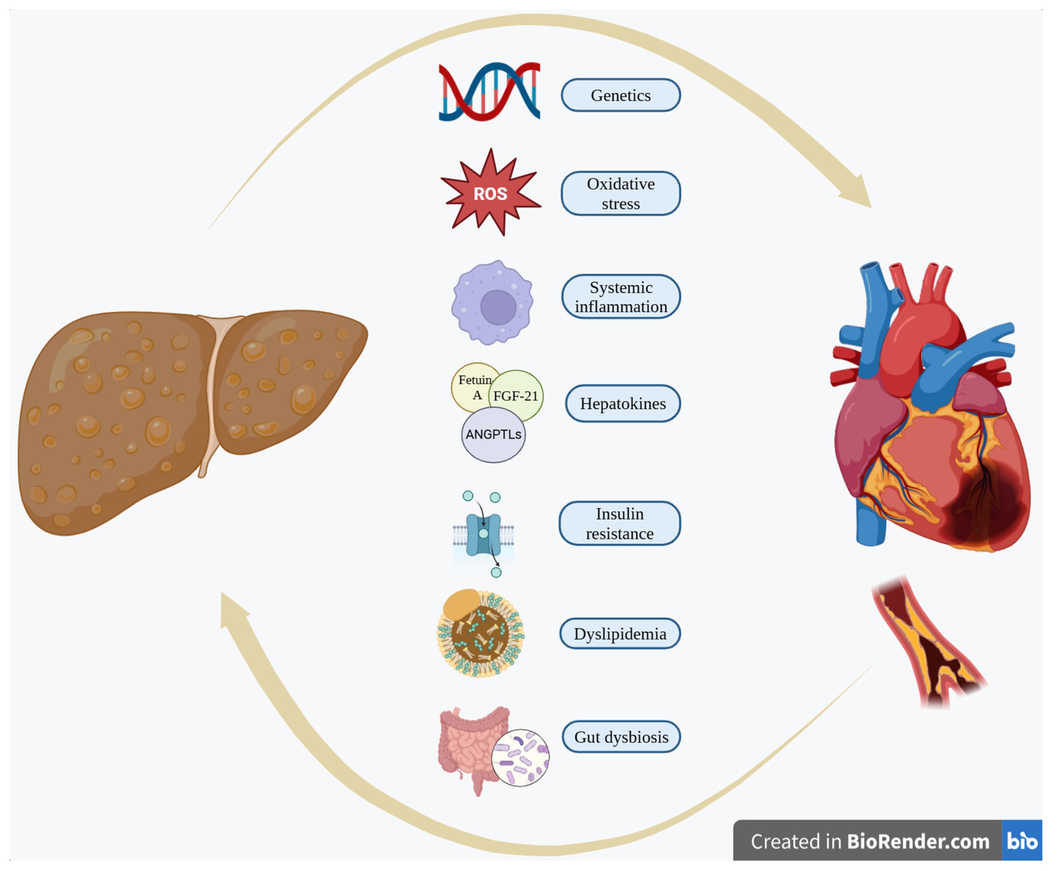 Biomolecules 15 00324 g001 Biomolecules 15 00324 g001