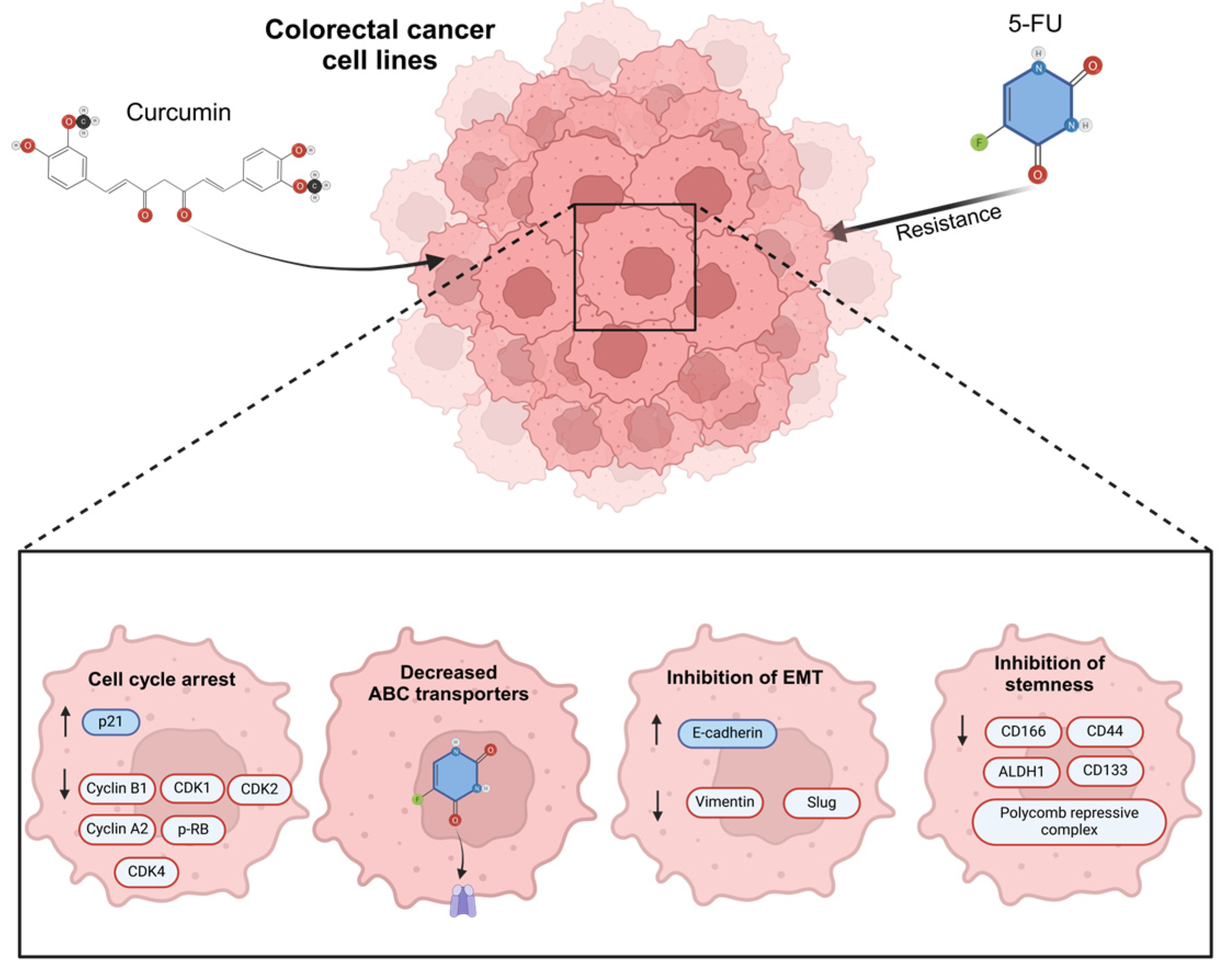 Biomolecules 15 00326 g004