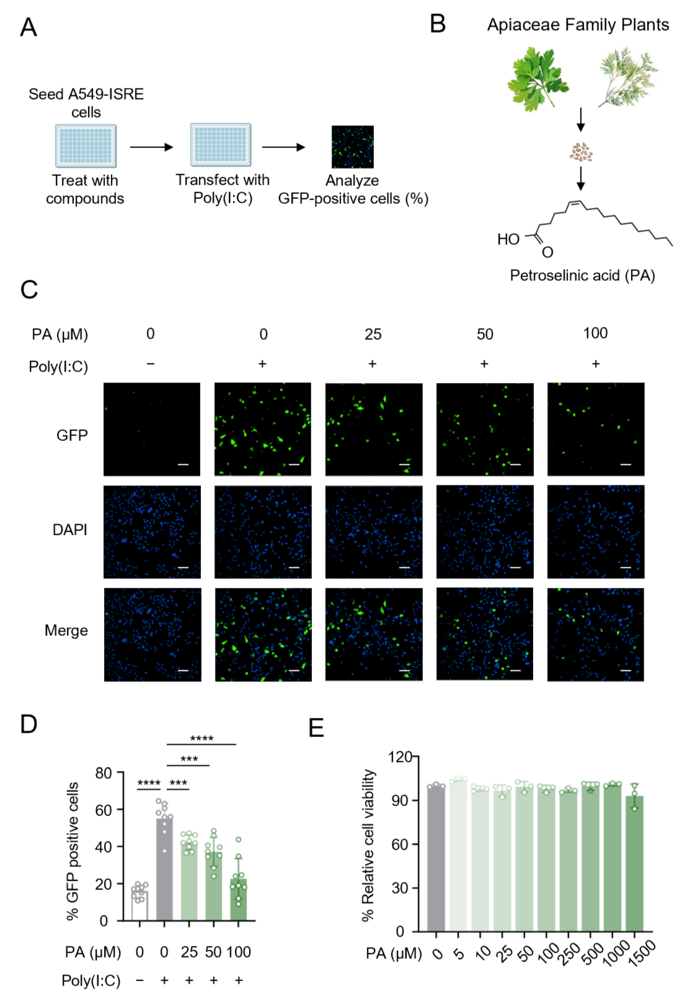 Biomolecules 15 00329 g001