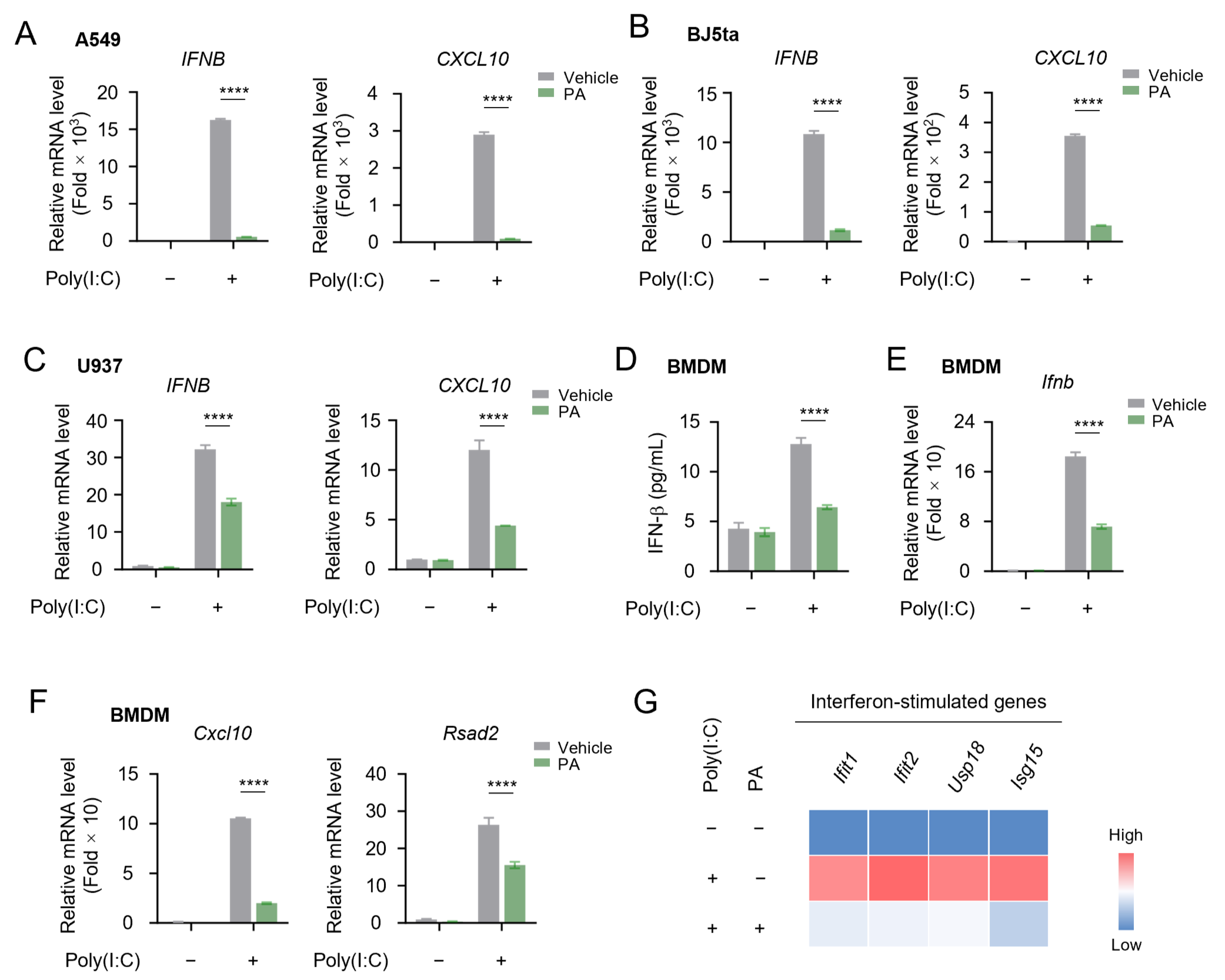 Biomolecules 15 00329 g002
