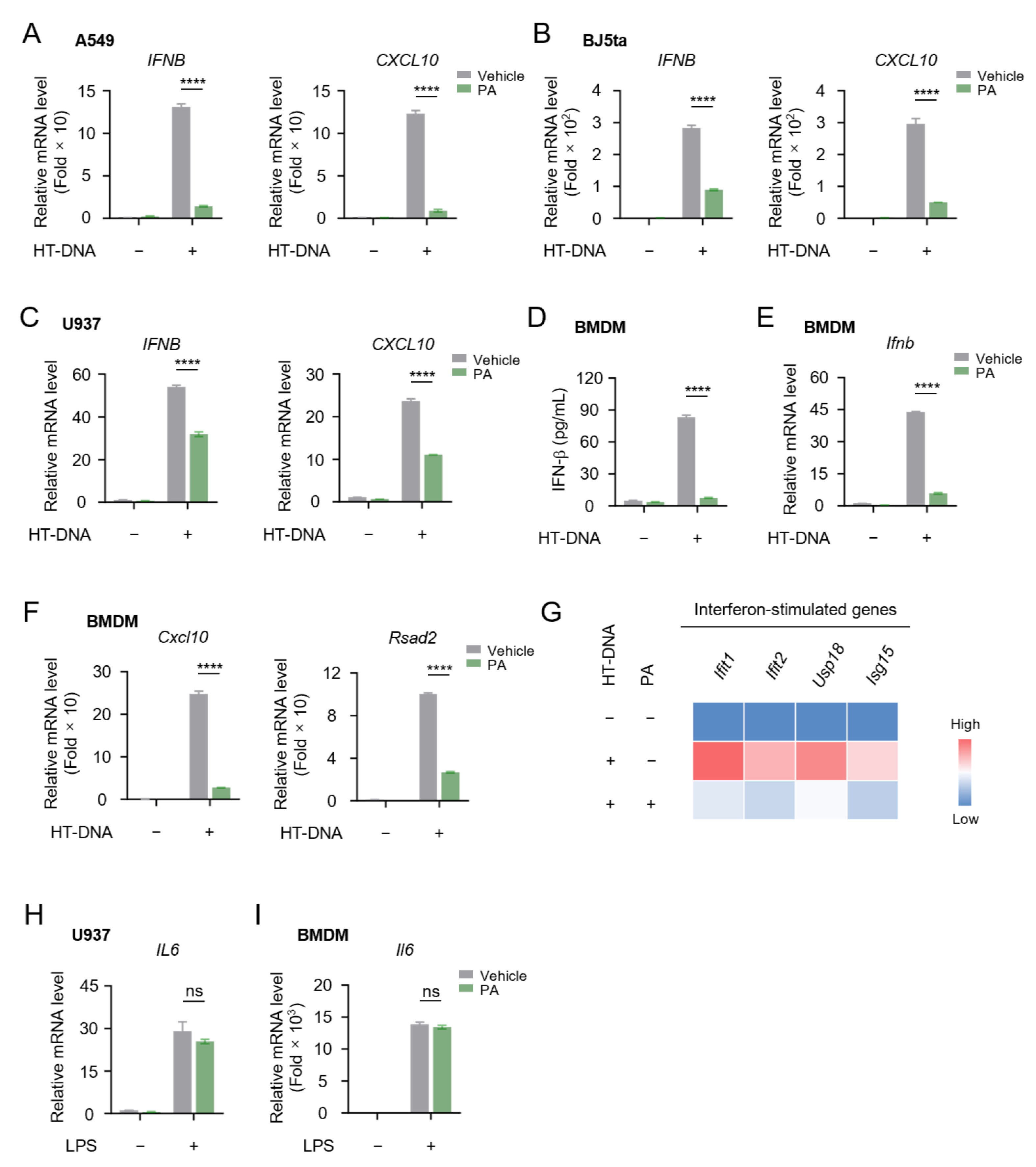 Biomolecules 15 00329 g003