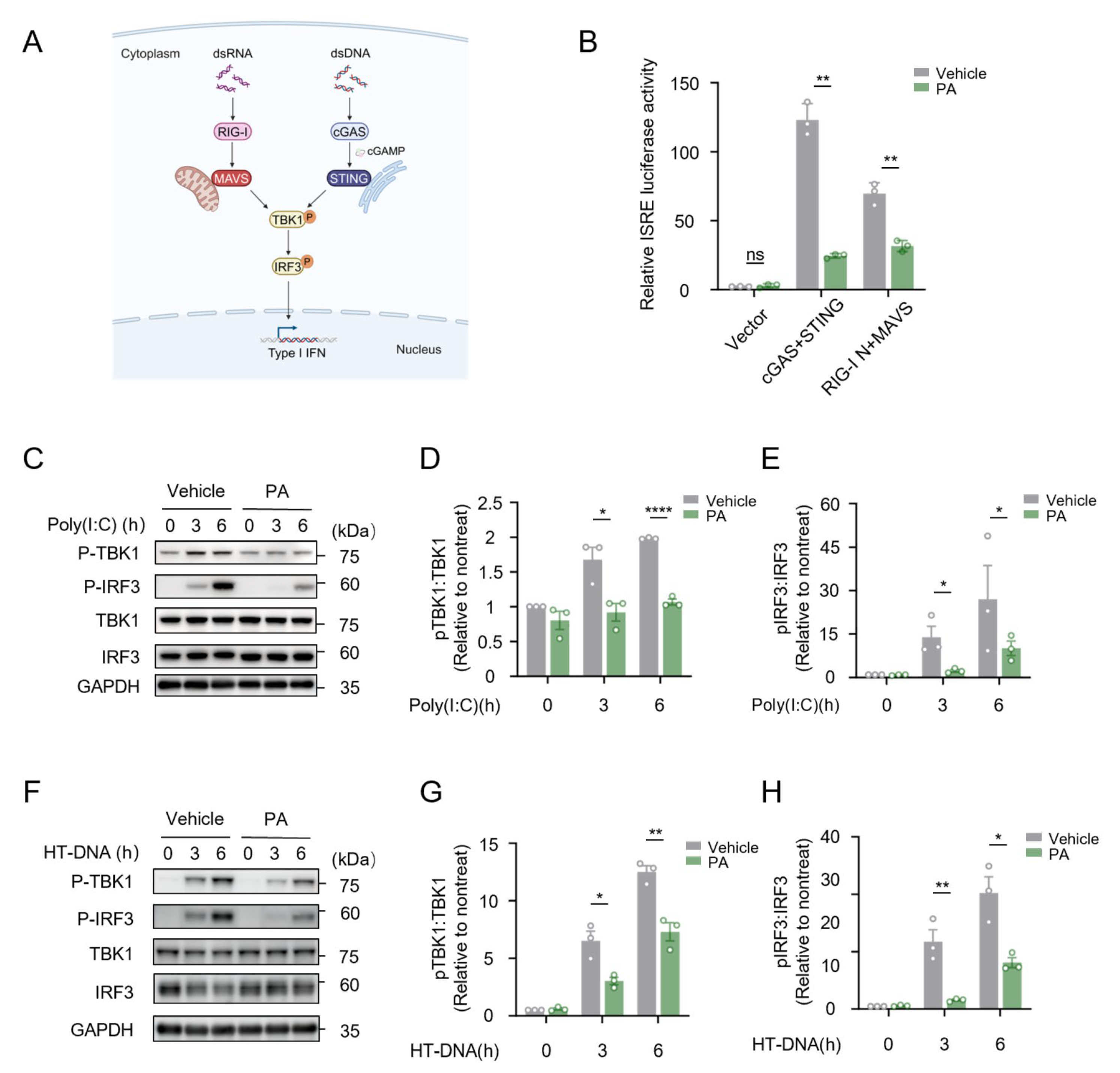 Biomolecules 15 00329 g004