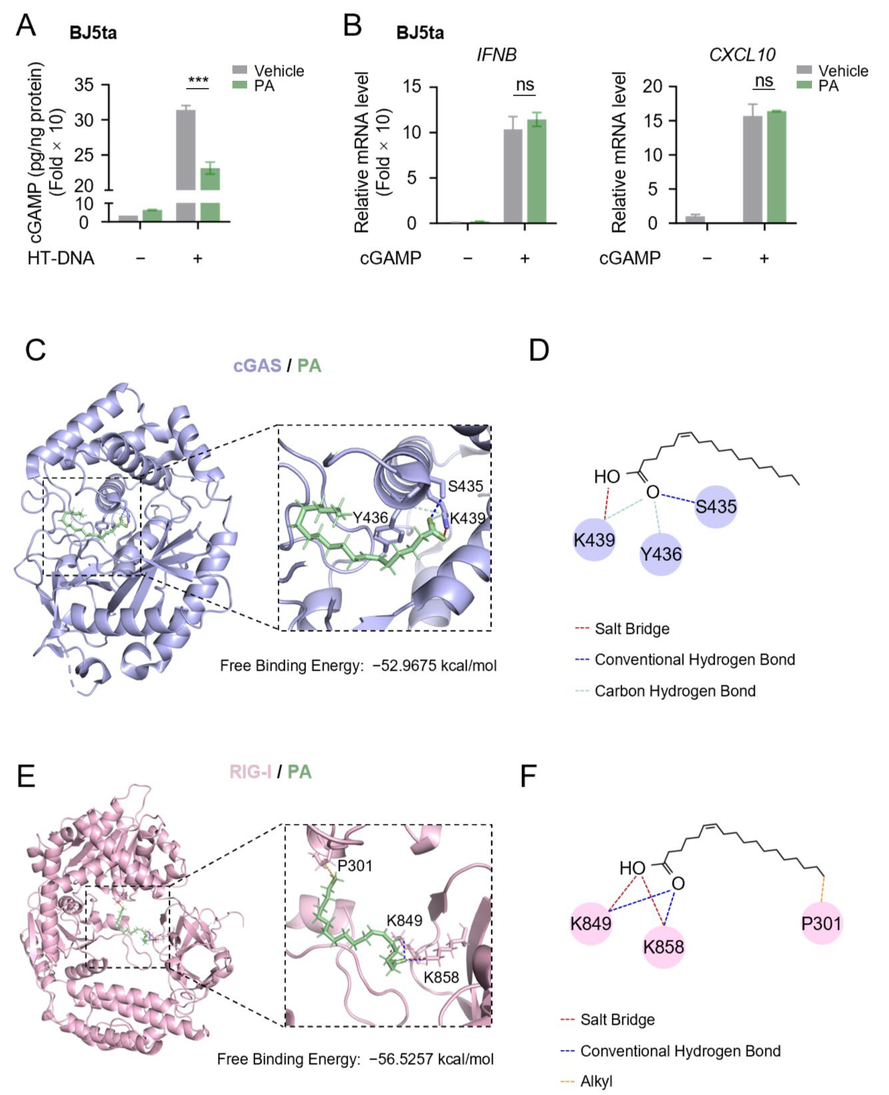 Biomolecules 15 00329 g005