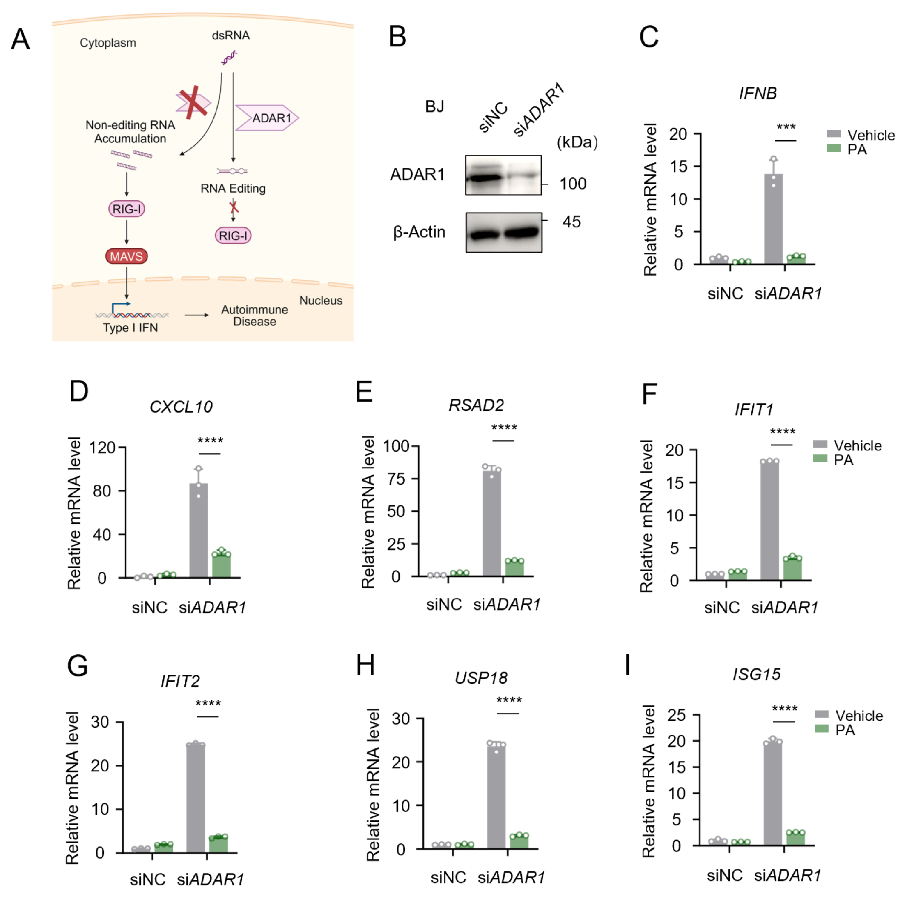 Biomolecules 15 00329 g006