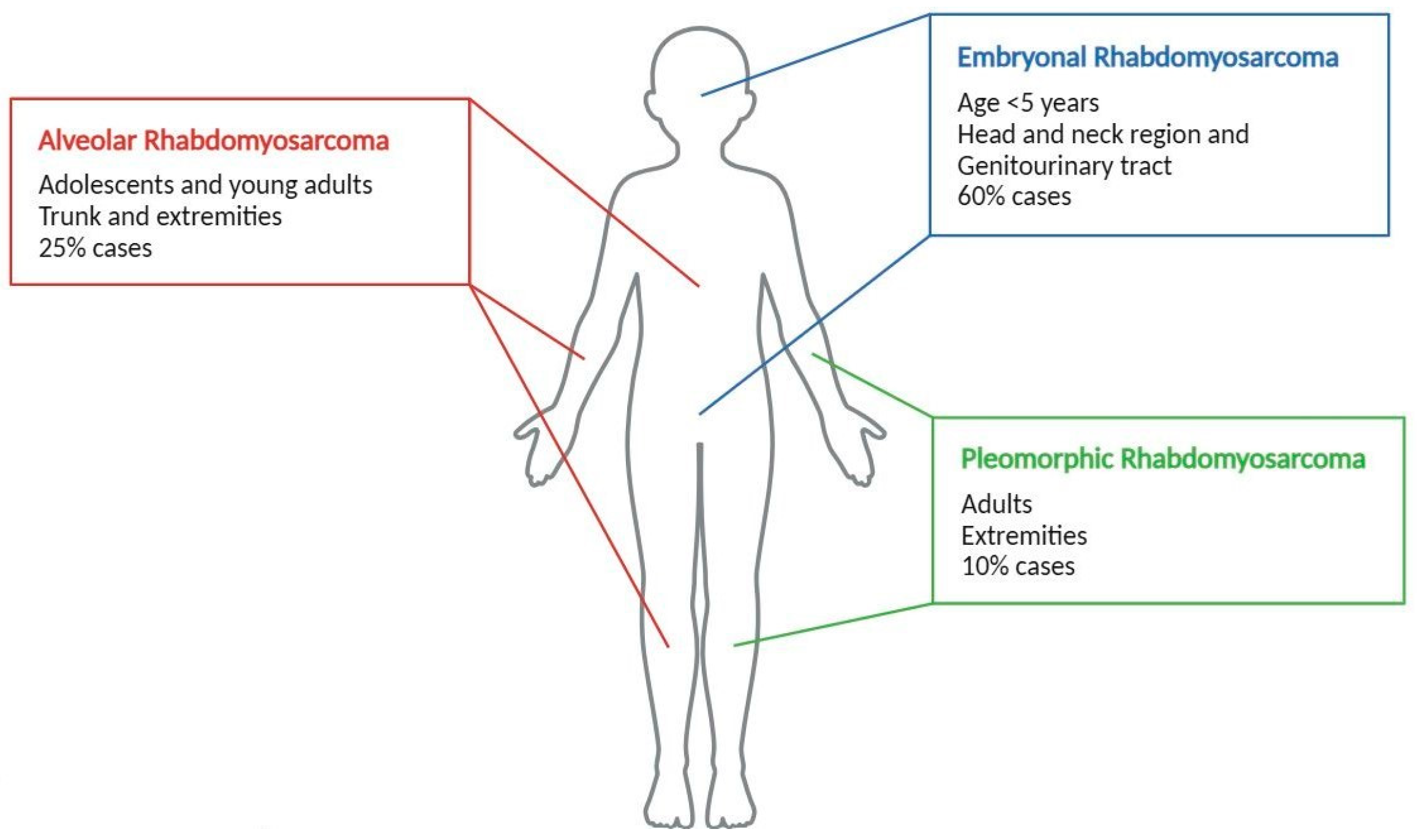Biomolecules 15 00334 g001