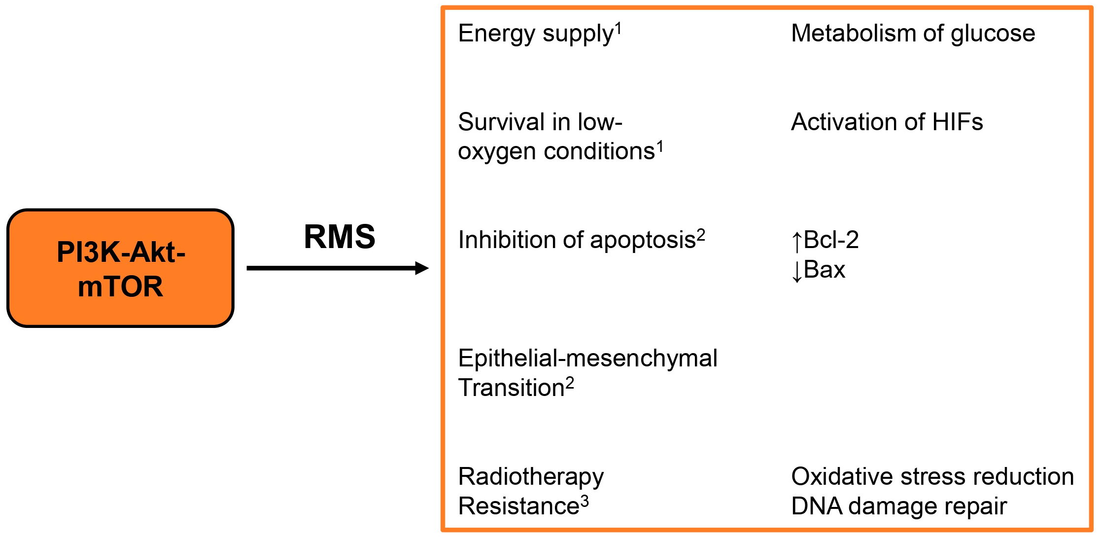 Biomolecules 15 00334 g002
