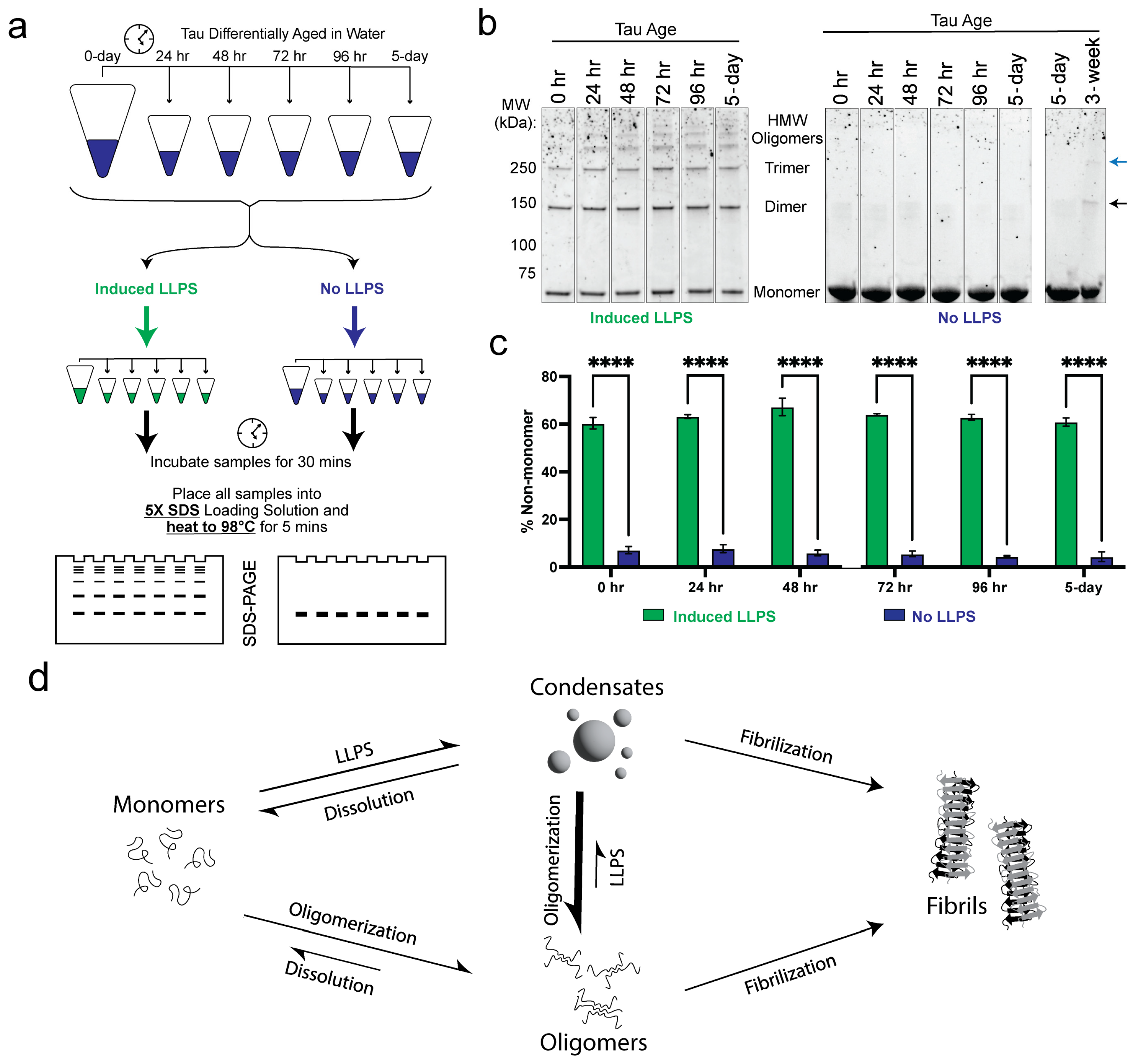 Biomolecules 15 00336 g004