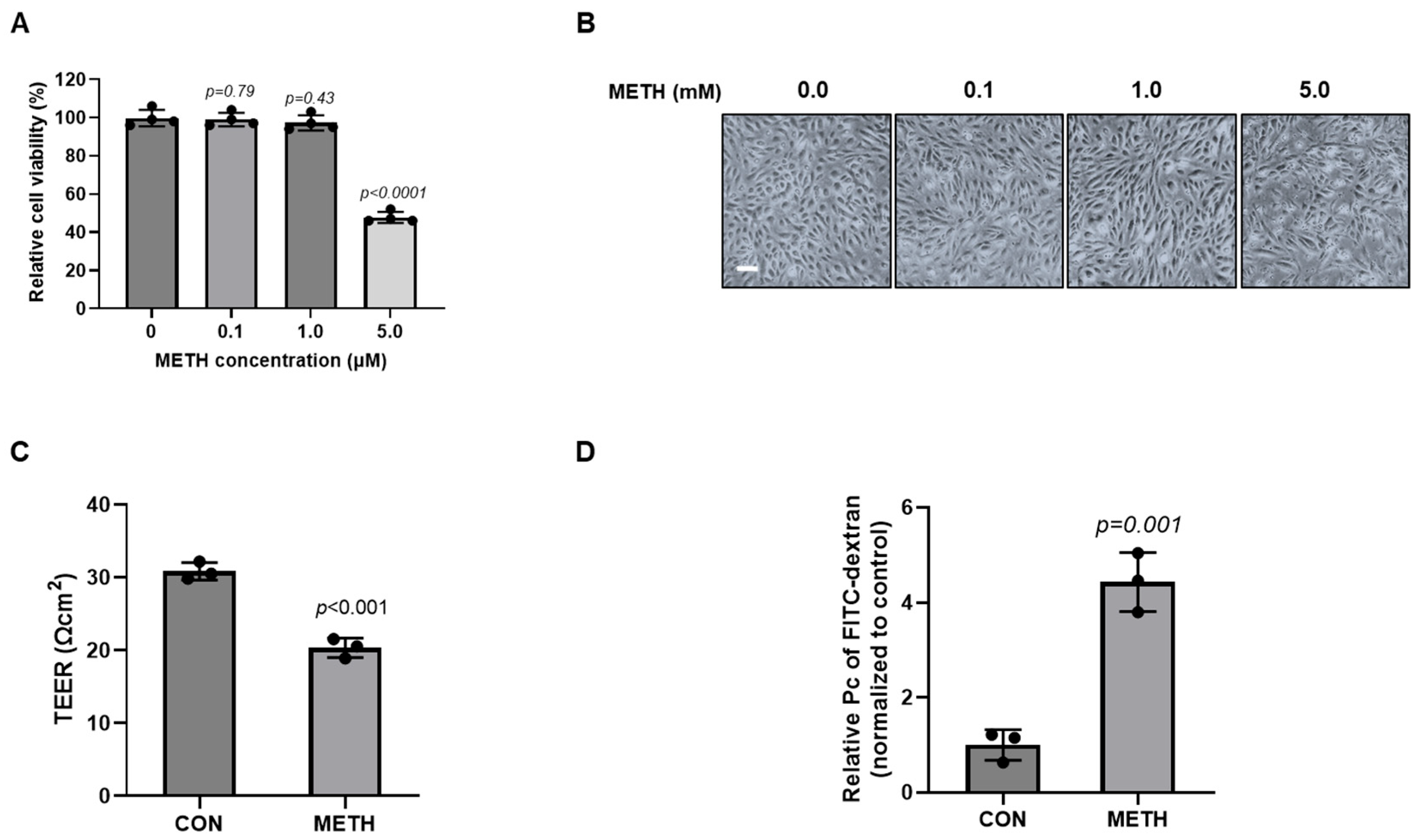 Biomolecules 15 00340 g001