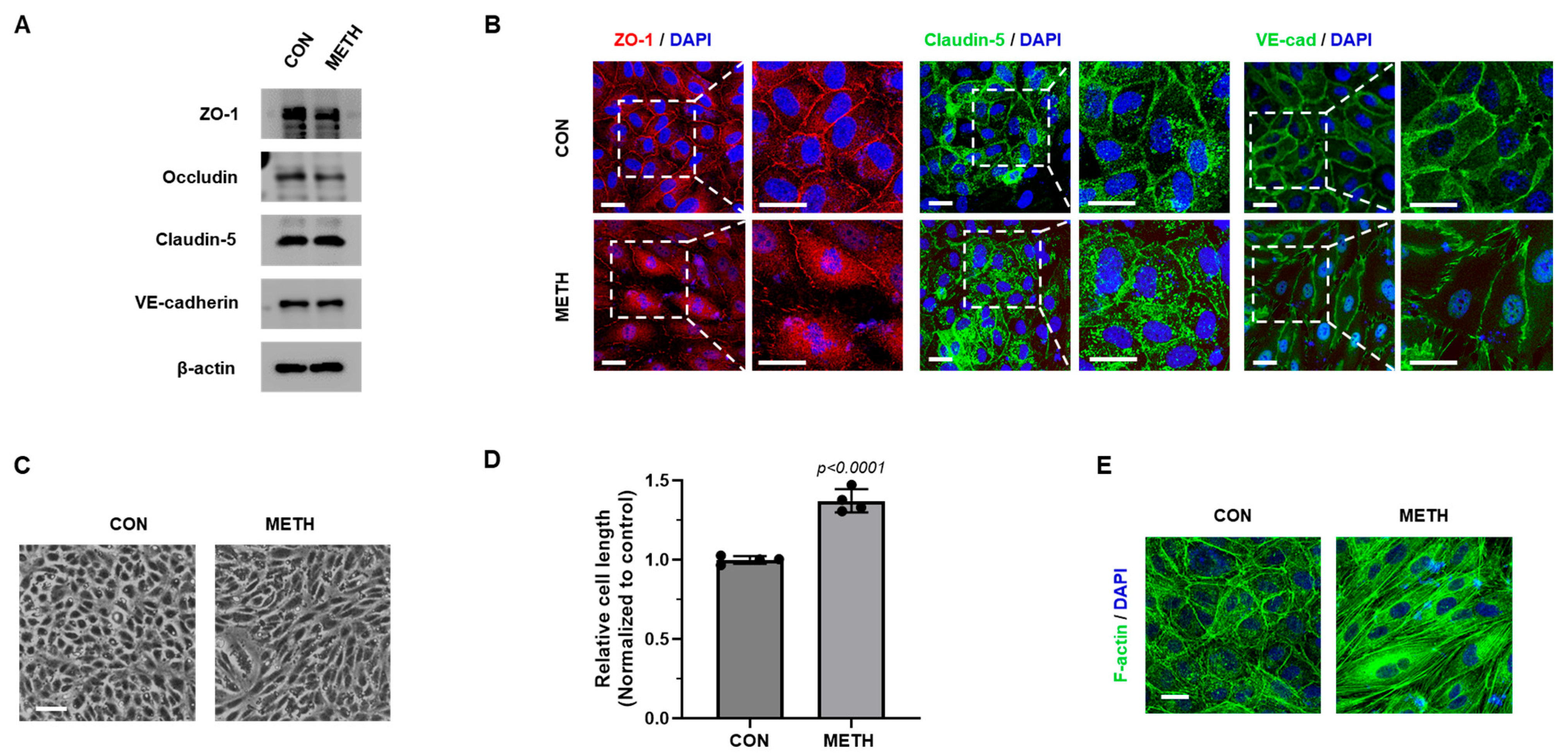 Biomolecules 15 00340 g002