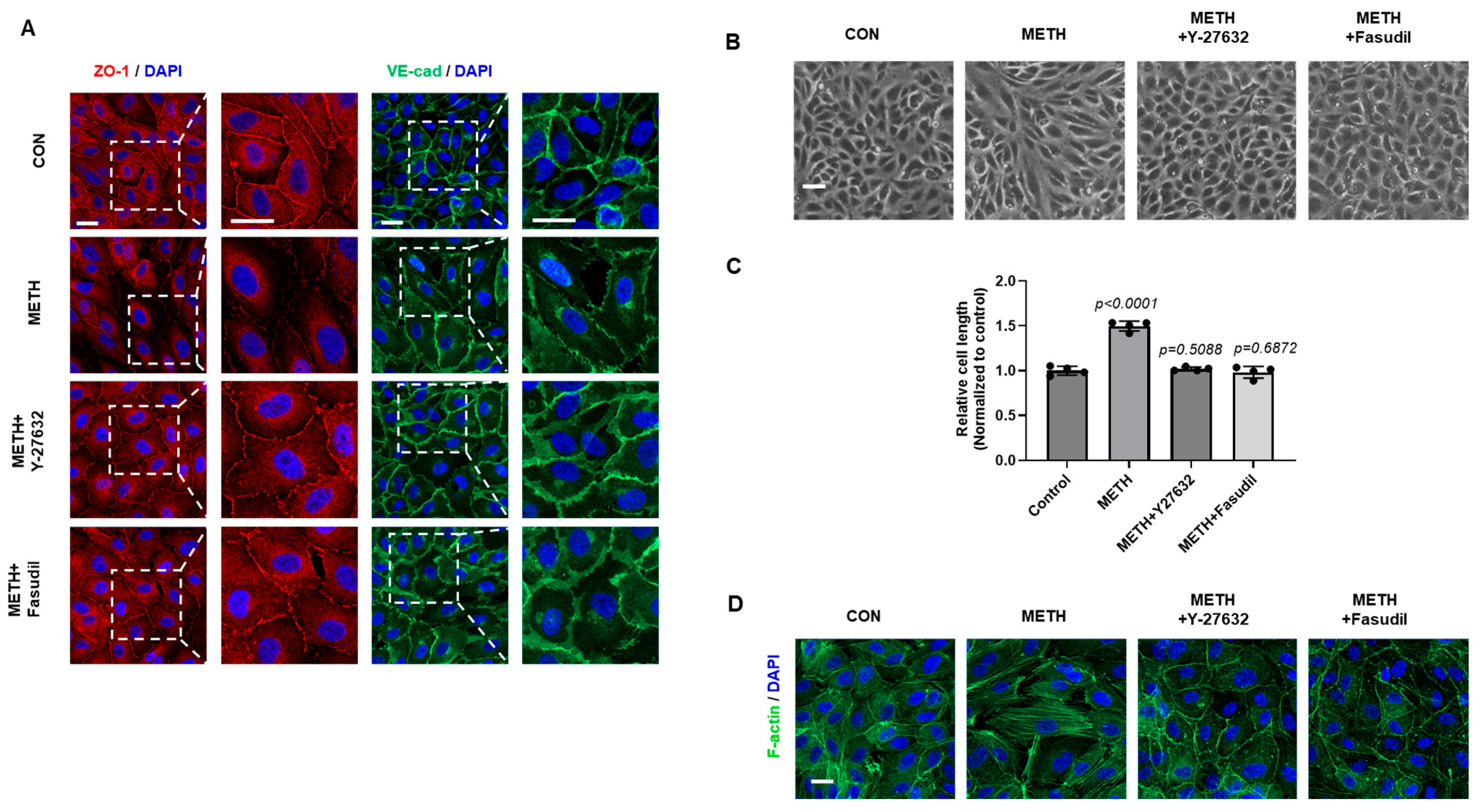 Biomolecules 15 00340 g004