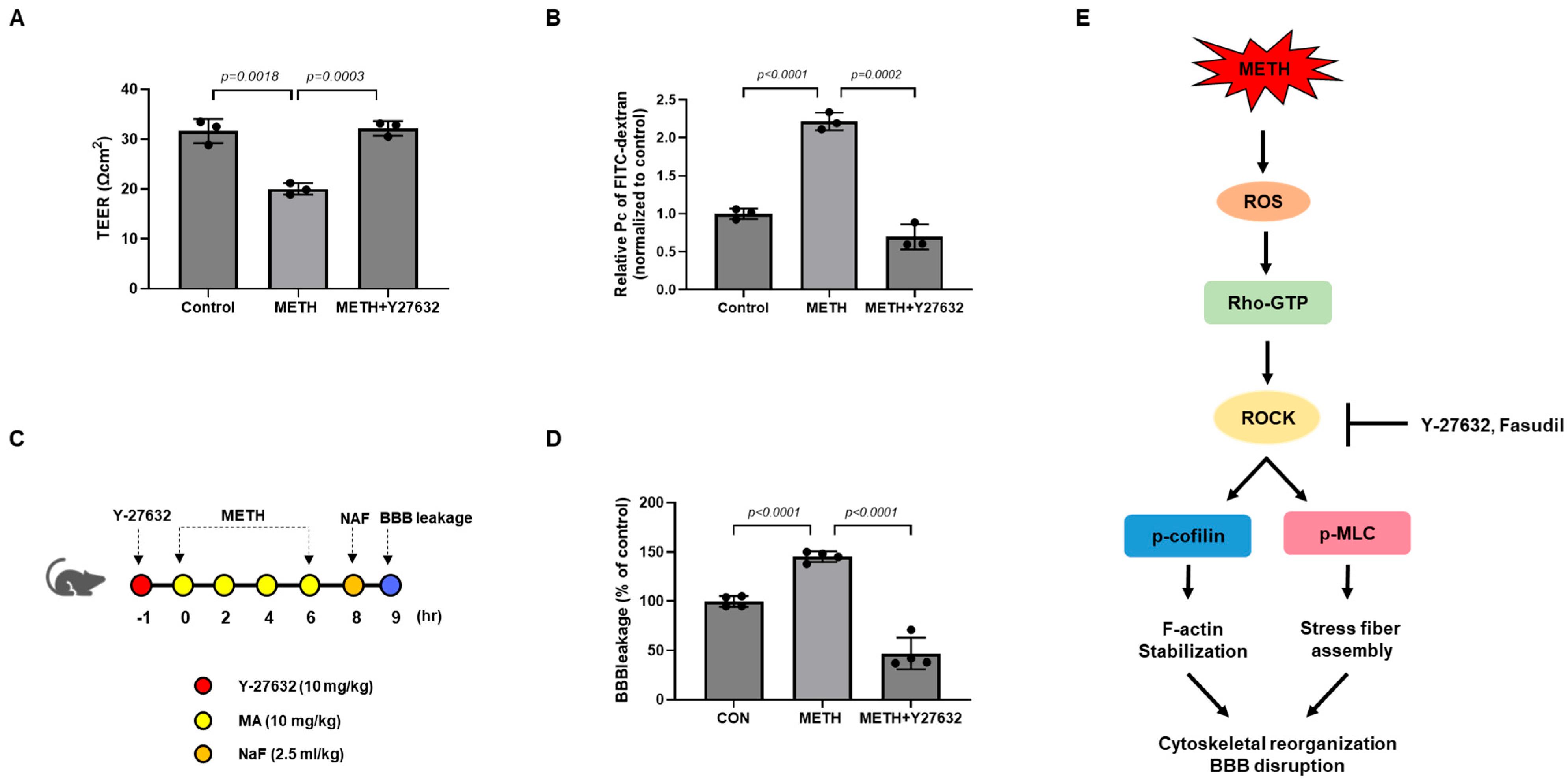 Biomolecules 15 00340 g005