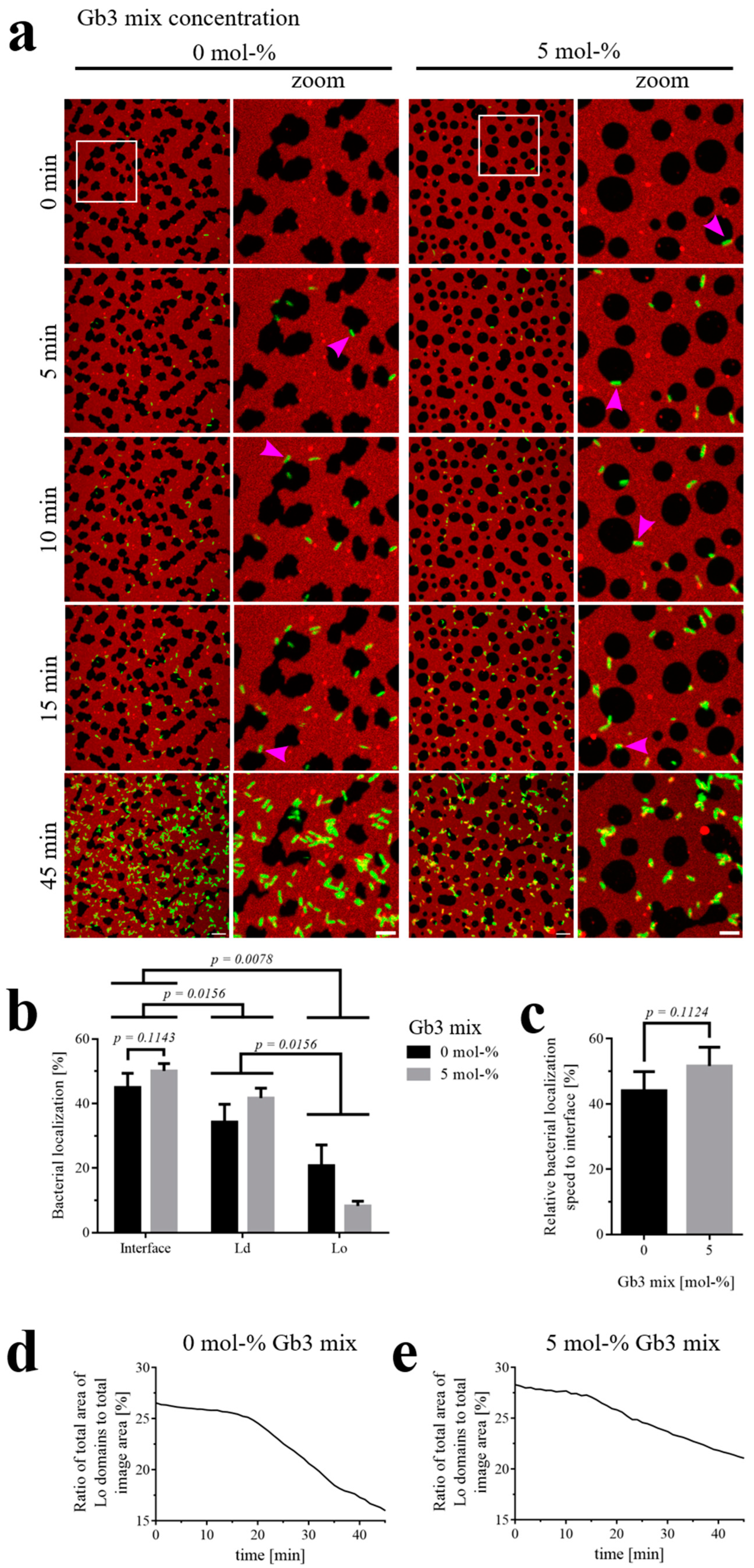 Biomolecules 15 00341 g005 Biomolecules 15 00341 g005