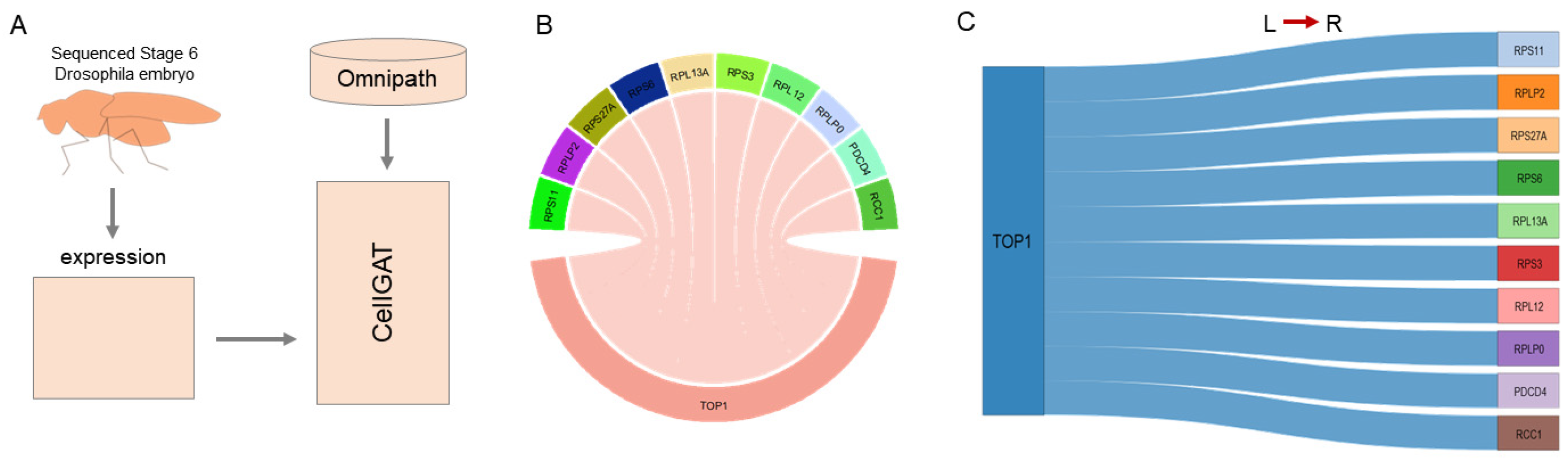 Biomolecules 15 00342 g003